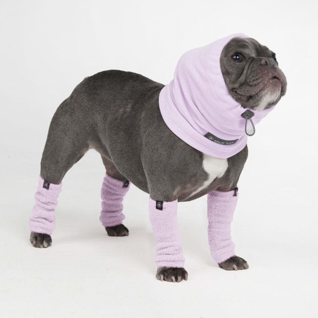 Anxiety Calming Dog Earmuff Protector - Purple - Image 4
