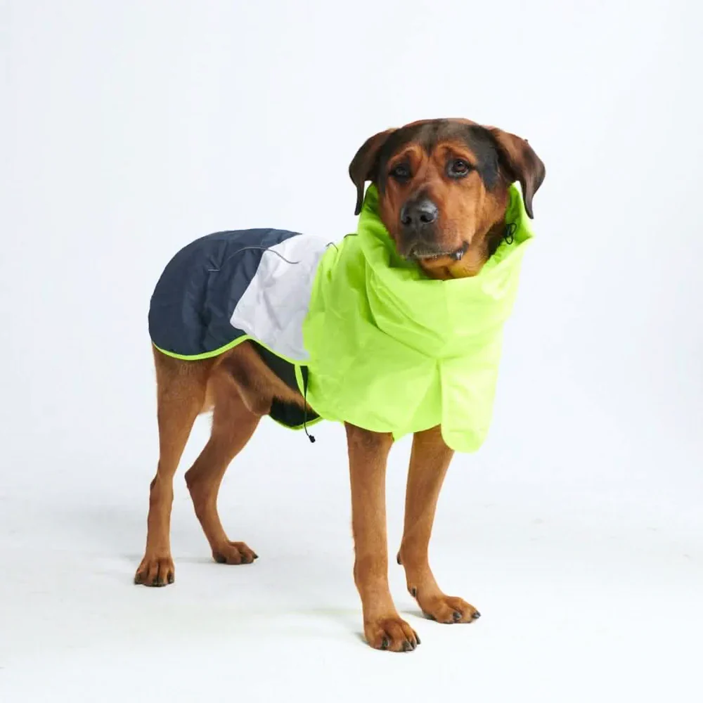 Breatheshield™ Dog Raincoat (Multi-Color) - Image 16