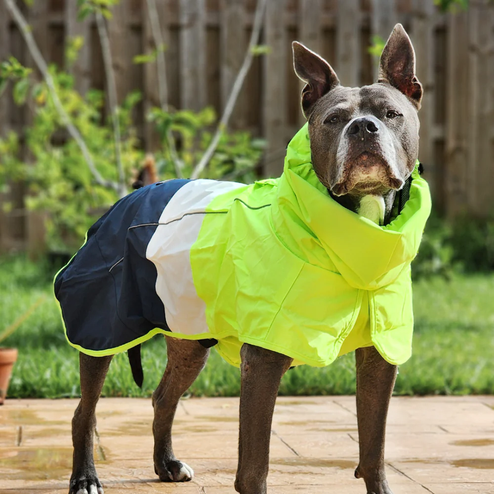 Breatheshield™ Dog Raincoat (Multi-Color) - Image 22