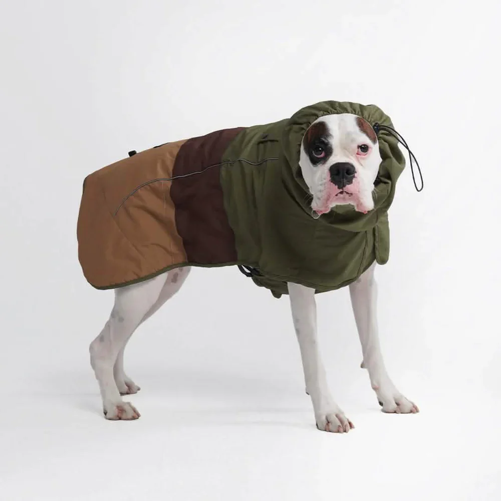 Breatheshield™ Dog Raincoat (Multi-Color) - Image 26