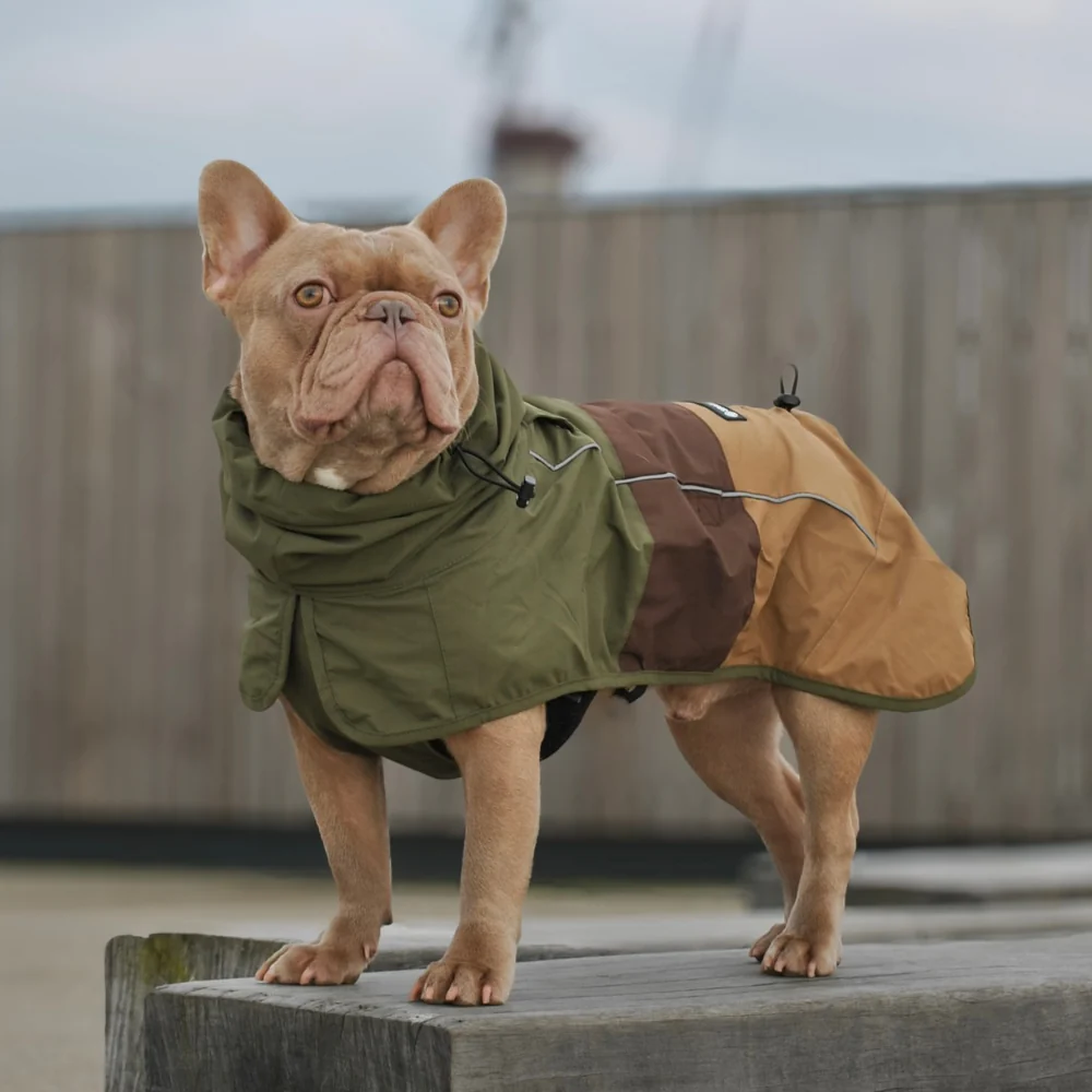 Breatheshield™ Dog Raincoat (Multi-Color) - Image 32