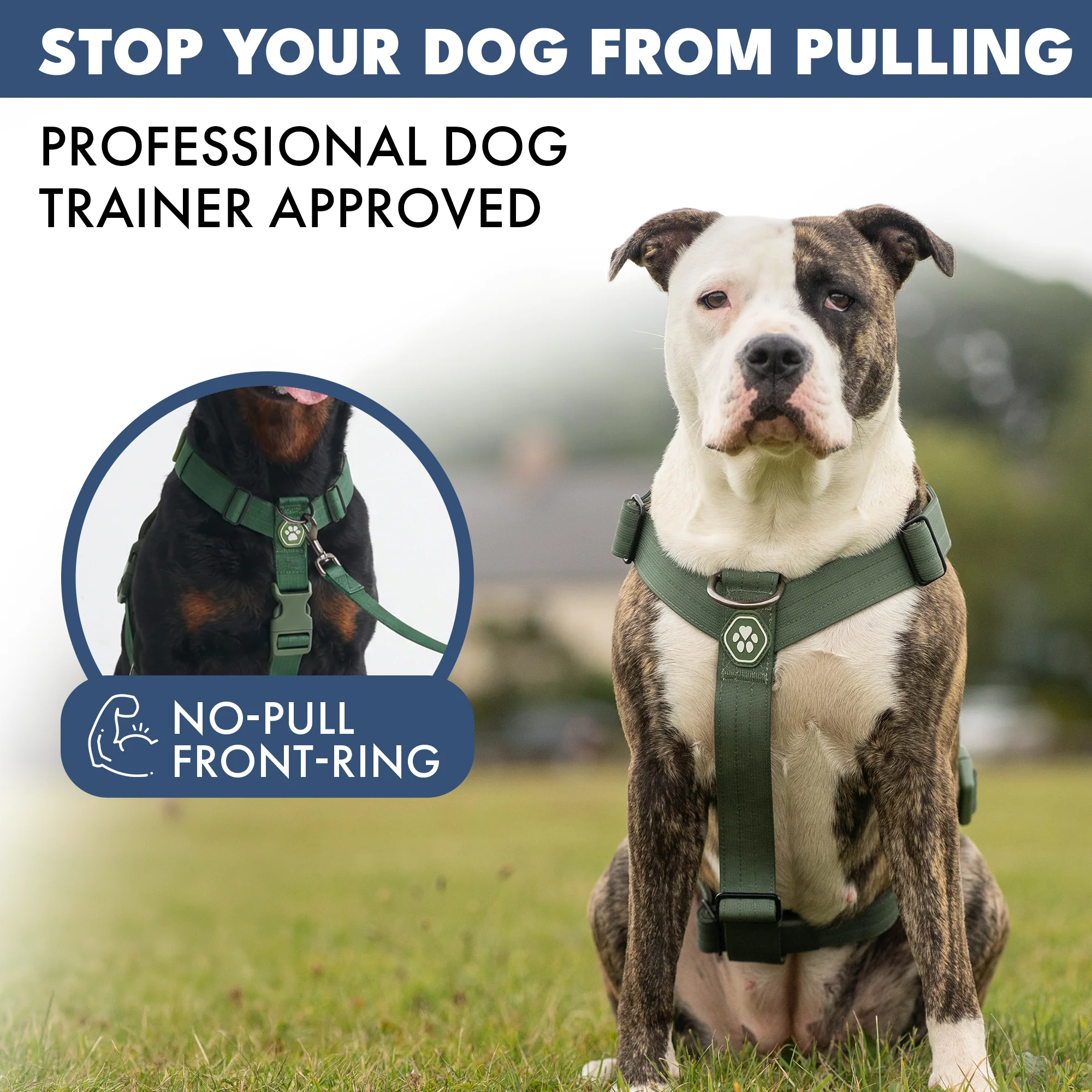 Comfort Control No-Pull Dog Harnesses - Image 36