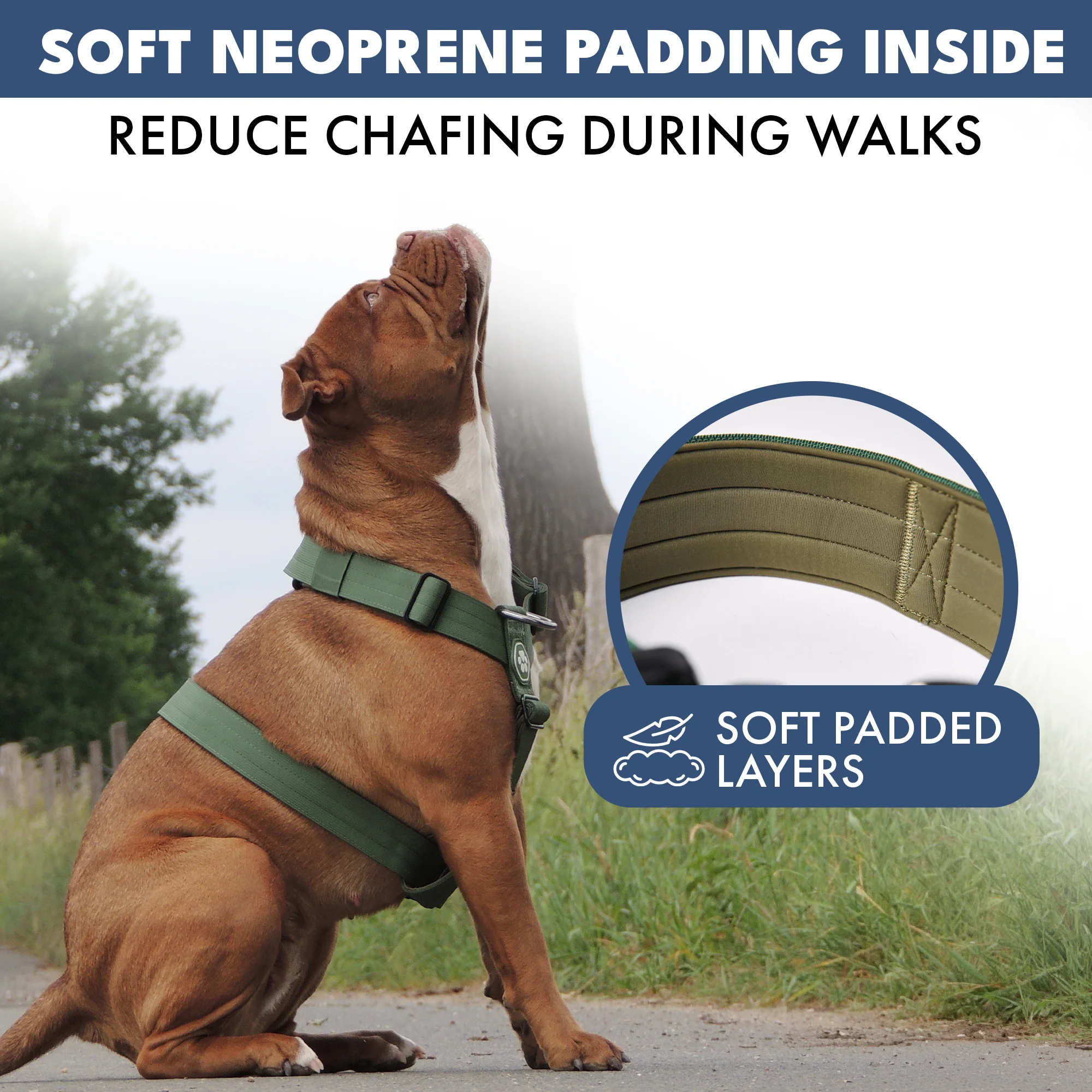 Comfort Control No-Pull Dog Harnesses - Image 38