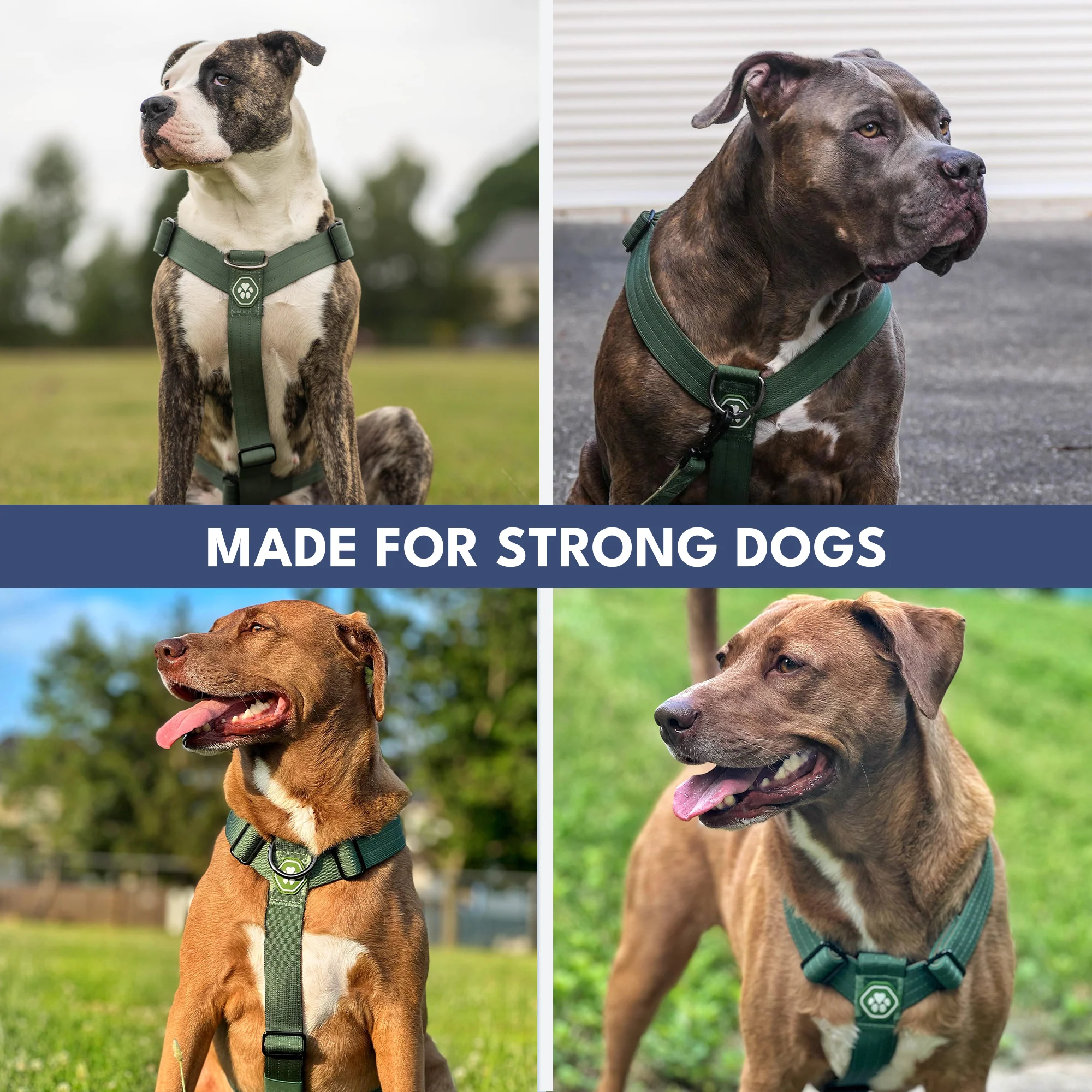 Comfort Control No-Pull Dog Harnesses - Image 40