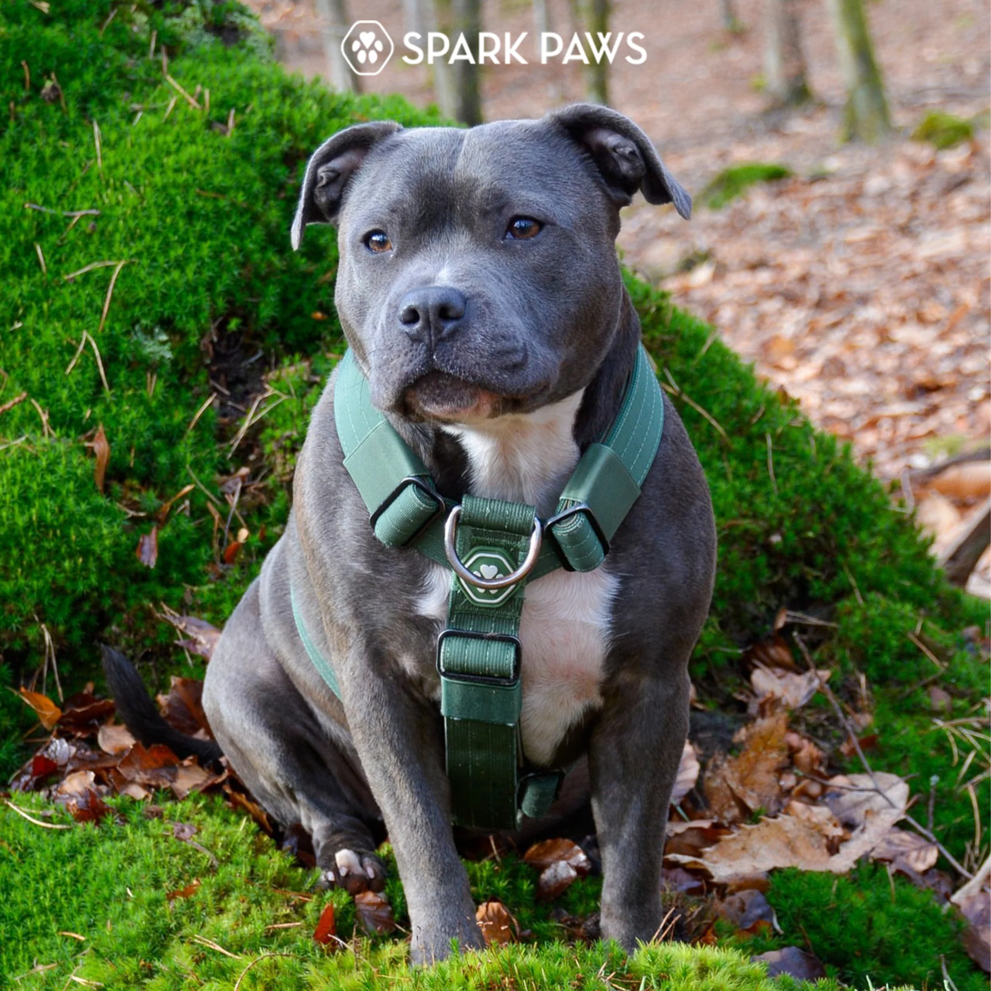 Comfort Control No-Pull Dog Harnesses - Image 41