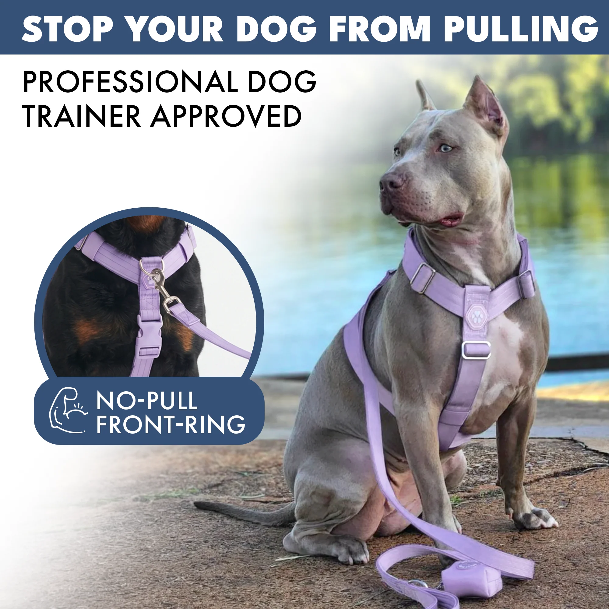 Comfort Control No-Pull Dog Harnesses - Image 52