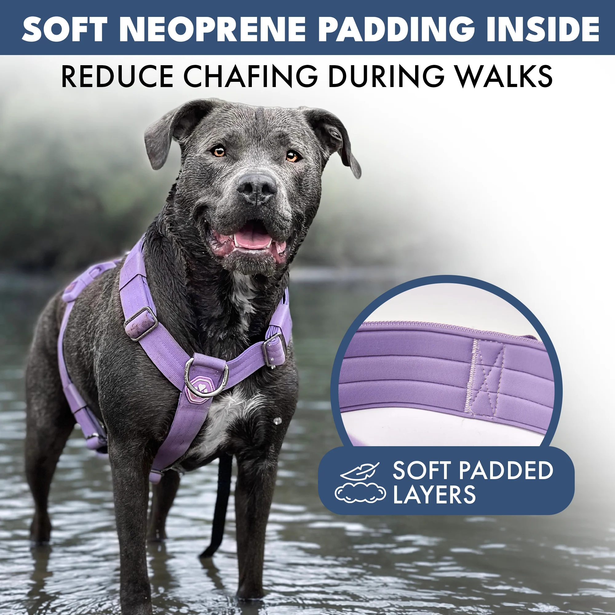 Comfort Control No-Pull Dog Harnesses - Image 54