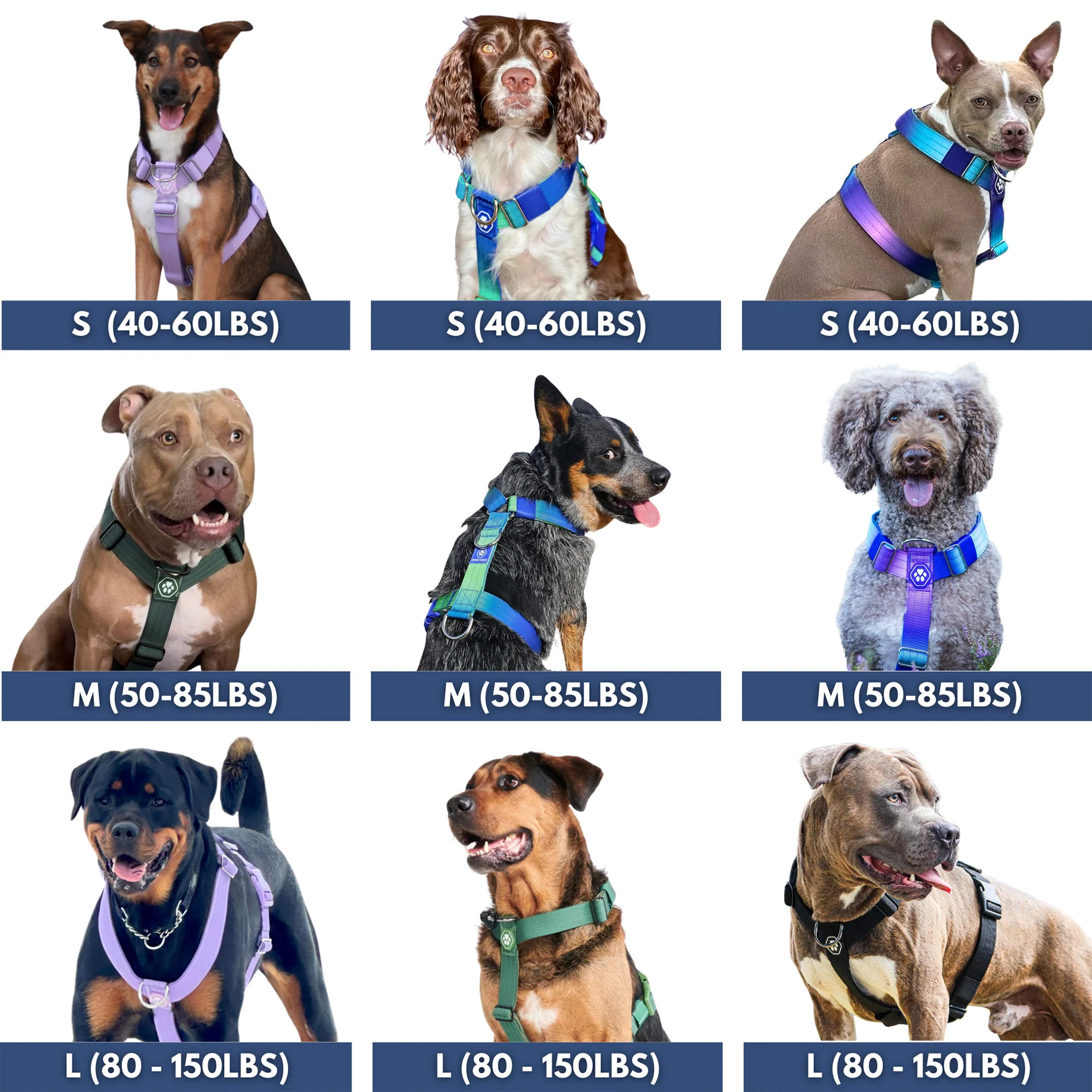Comfort Control No-Pull Dog Harnesses - Image 55