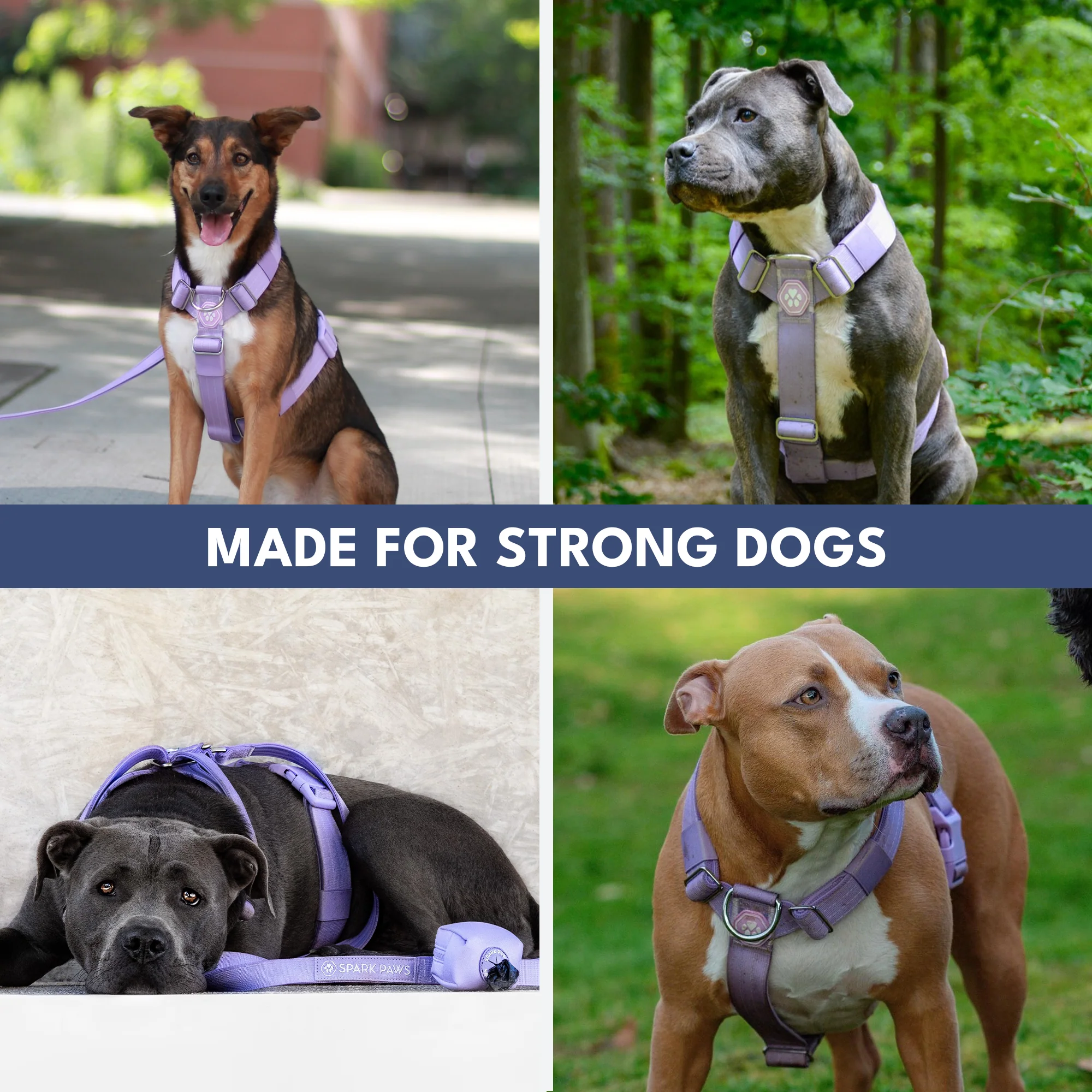 Comfort Control No-Pull Dog Harnesses - Image 56