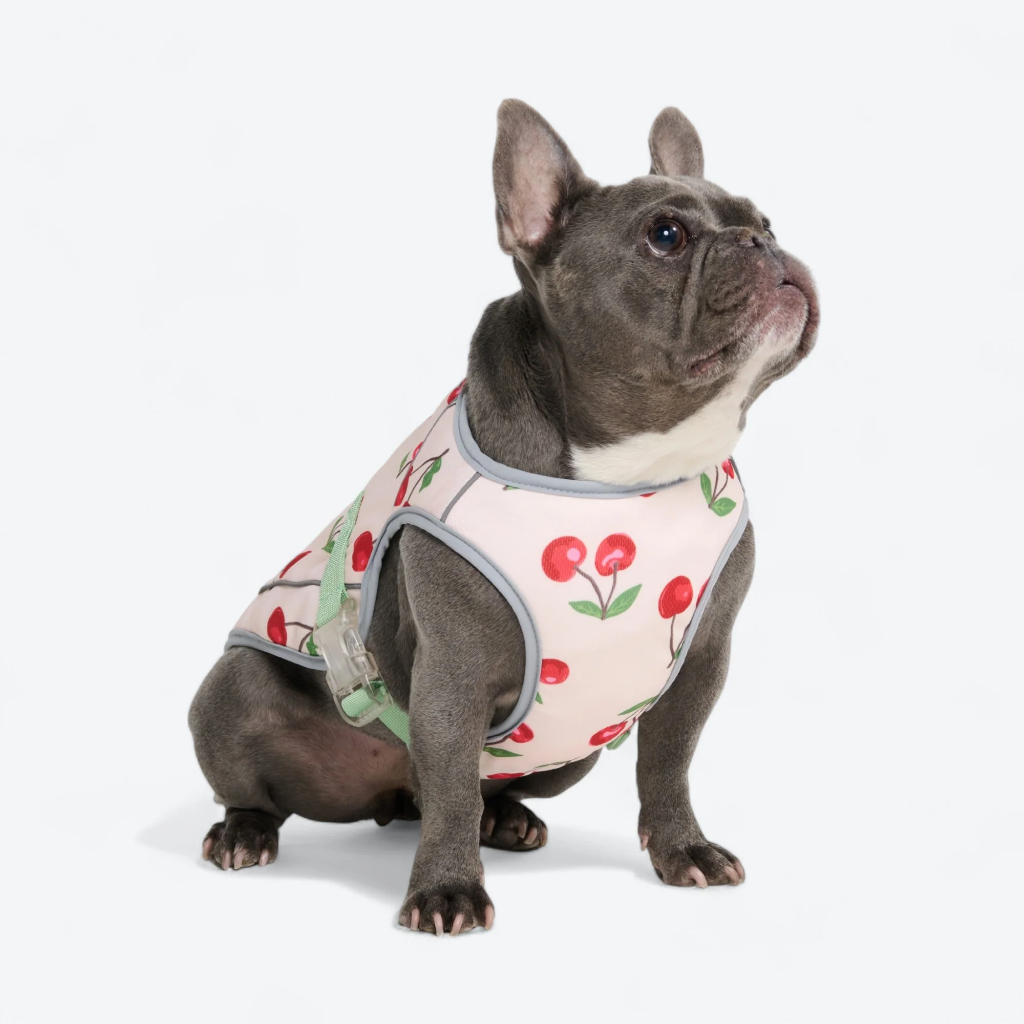 Chilltech™ Dog Cooling Vests - Image 68