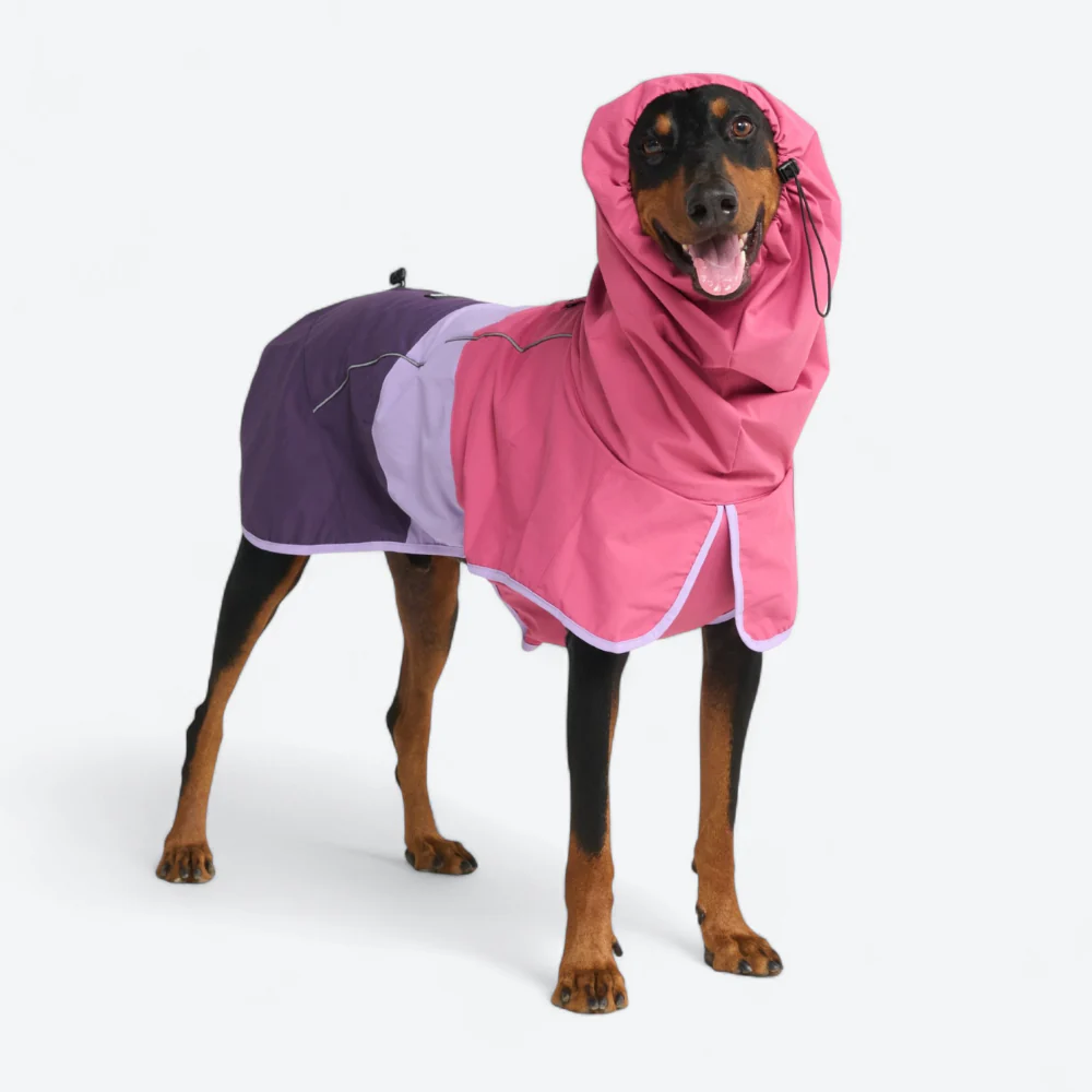 Breatheshield™ Dog Raincoat (Multi-Color) - Image 88