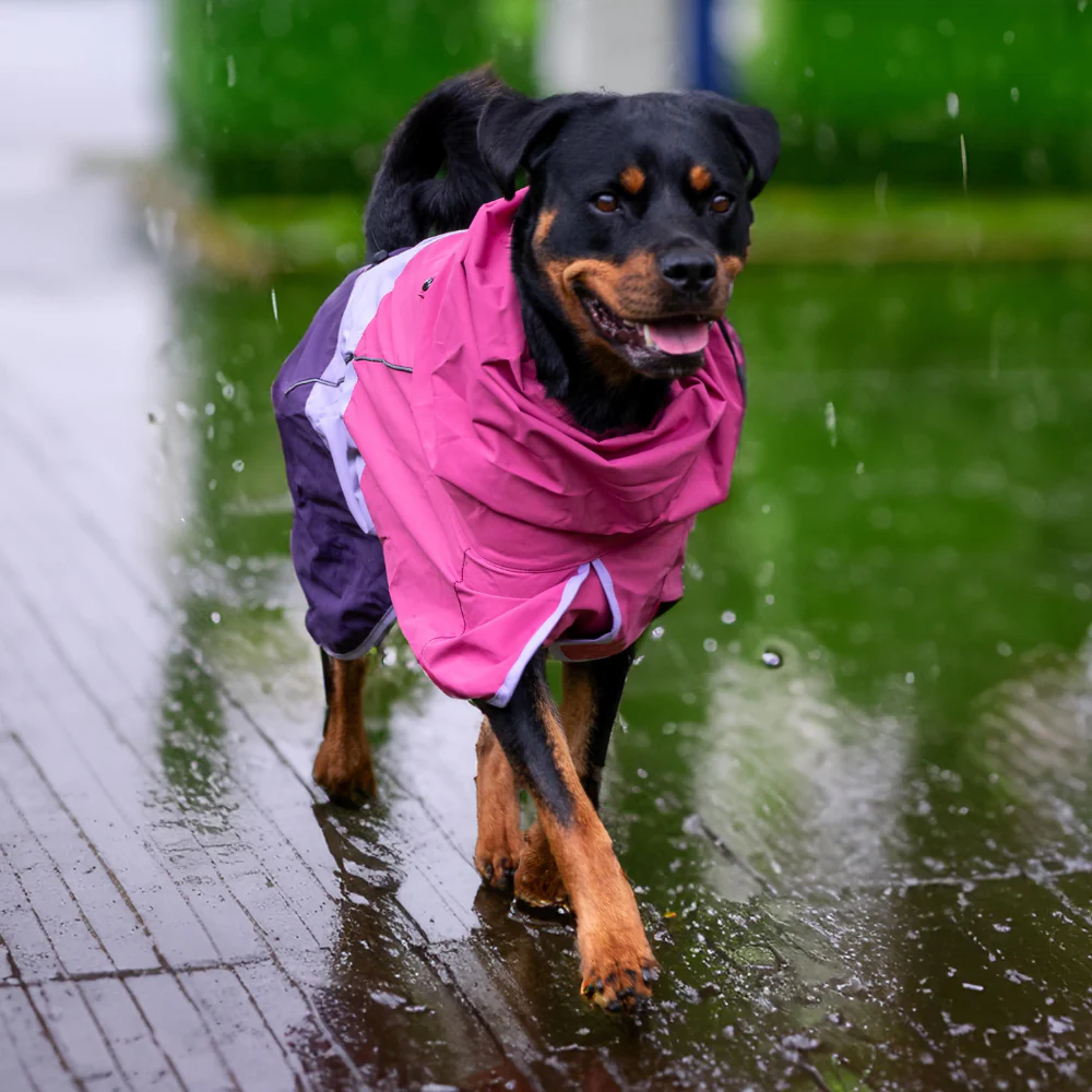 Breatheshield™ Dog Raincoat (Multi-Color) - Image 97