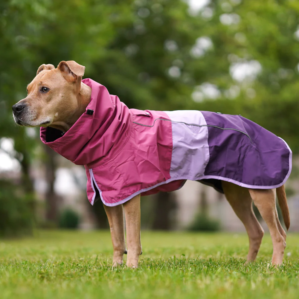 Breatheshield™ Dog Raincoat (Multi-Color) - Image 98