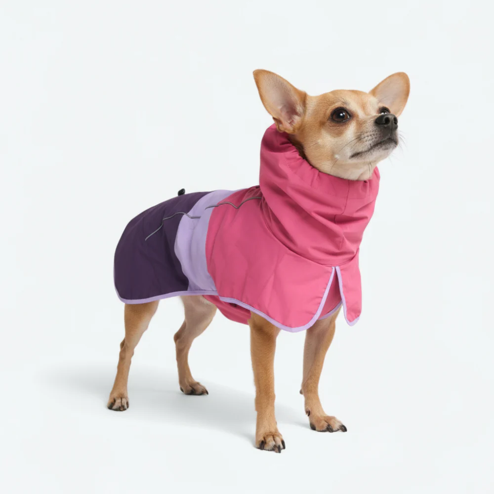 Breatheshield™ Dog Raincoat (Multi-Color) - Image 89