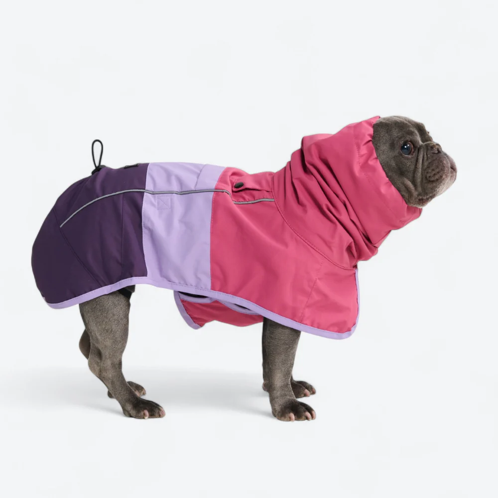 Breatheshield™ Dog Raincoat (Multi-Color) - Image 90