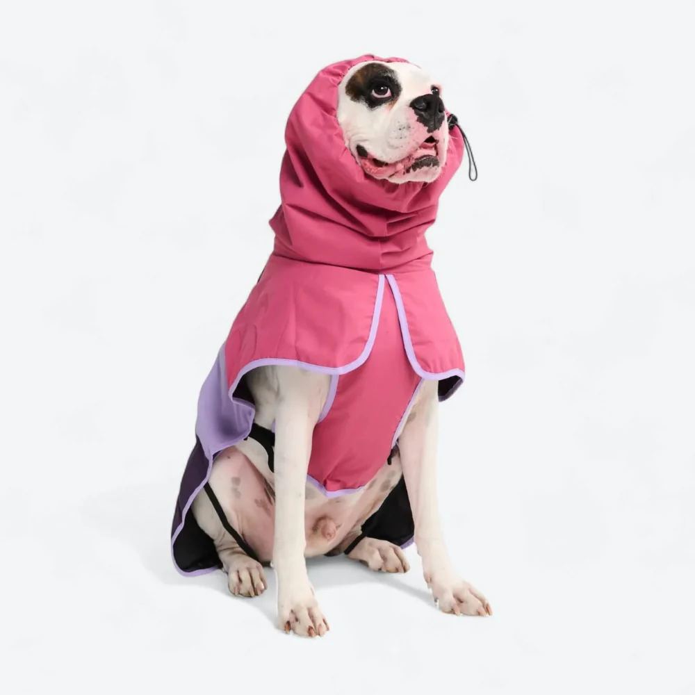 Breatheshield™ Dog Raincoat (Multi-Color) - Image 95