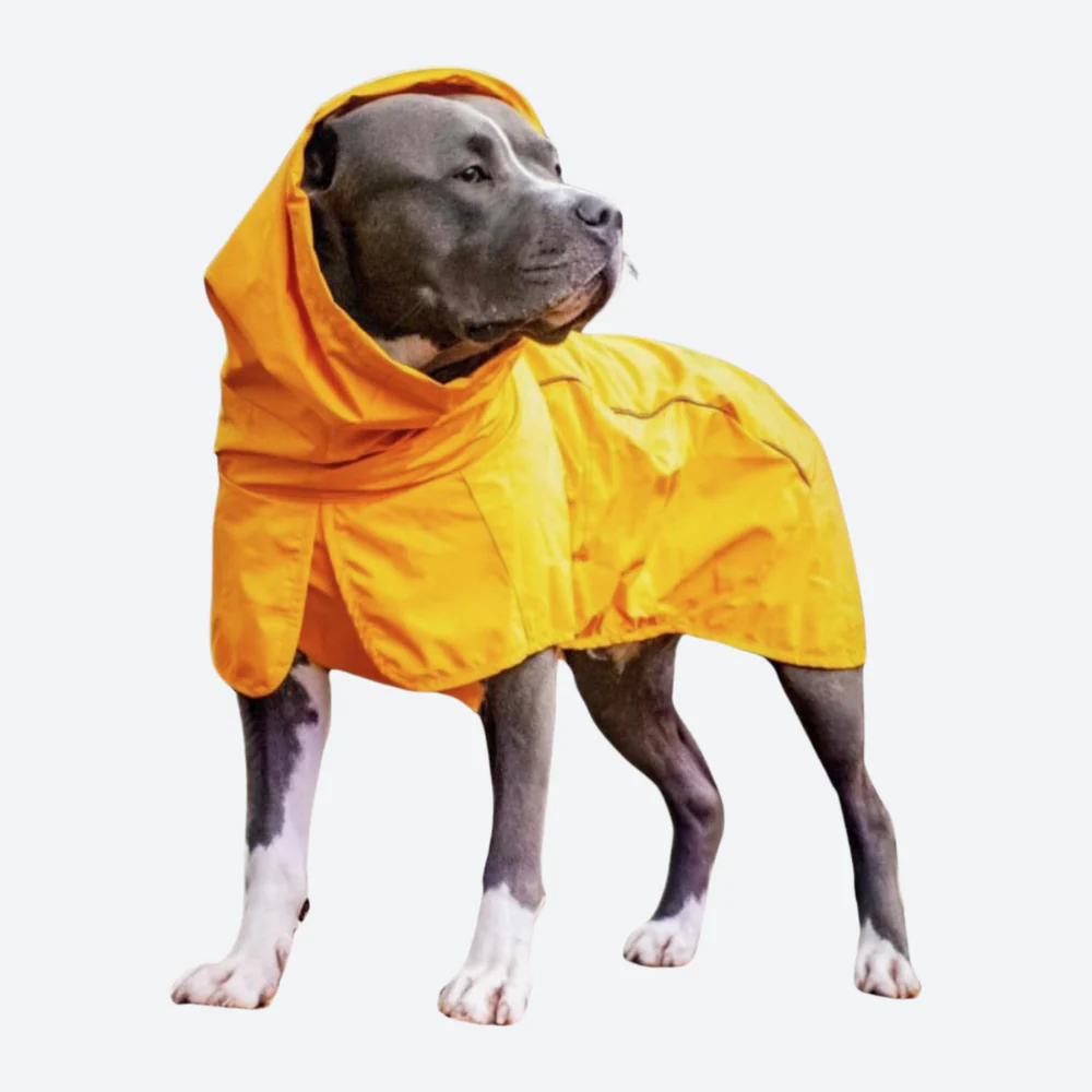 Breatheshield™ Dog Raincoat (Multi-Color) - Image 5