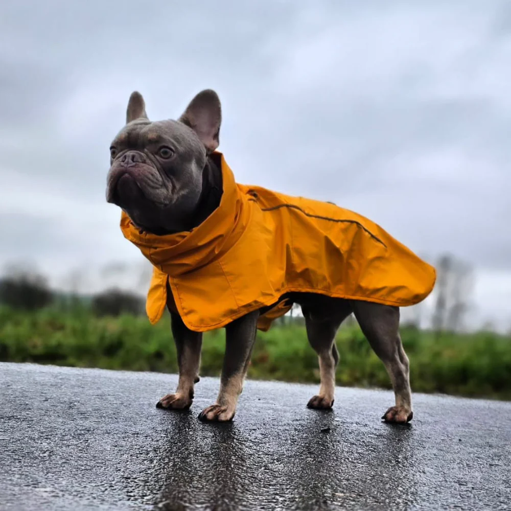 Breatheshield™ Dog Raincoat (Multi-Color) - Image 11