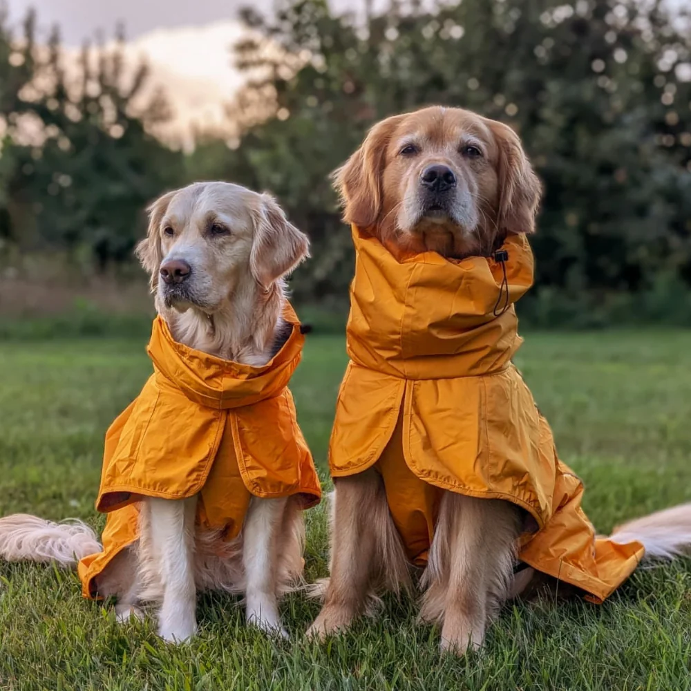 Breatheshield™ Dog Raincoat (Multi-Color) - Image 12