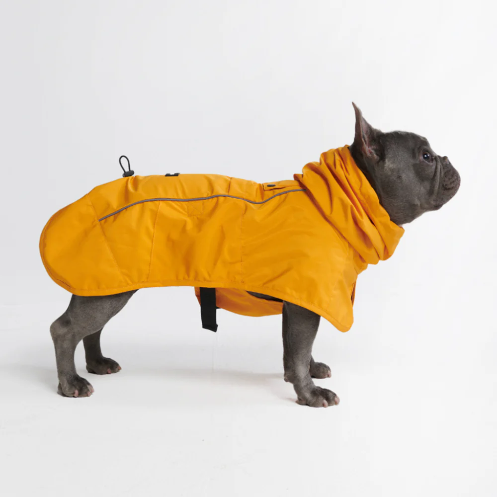 Breatheshield™ Dog Raincoat (Multi-Color) - Image 3