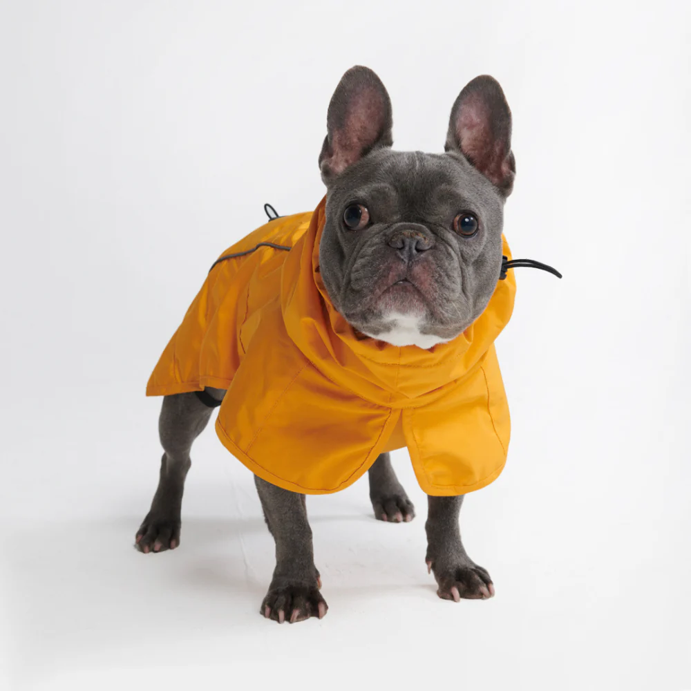Breatheshield™ Dog Raincoat (Multi-Color) - Image 8