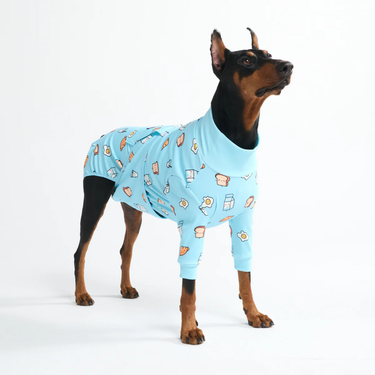 Dog Surgical Suit (2-pack) - Breakfast Blue and Donuts - Image 11