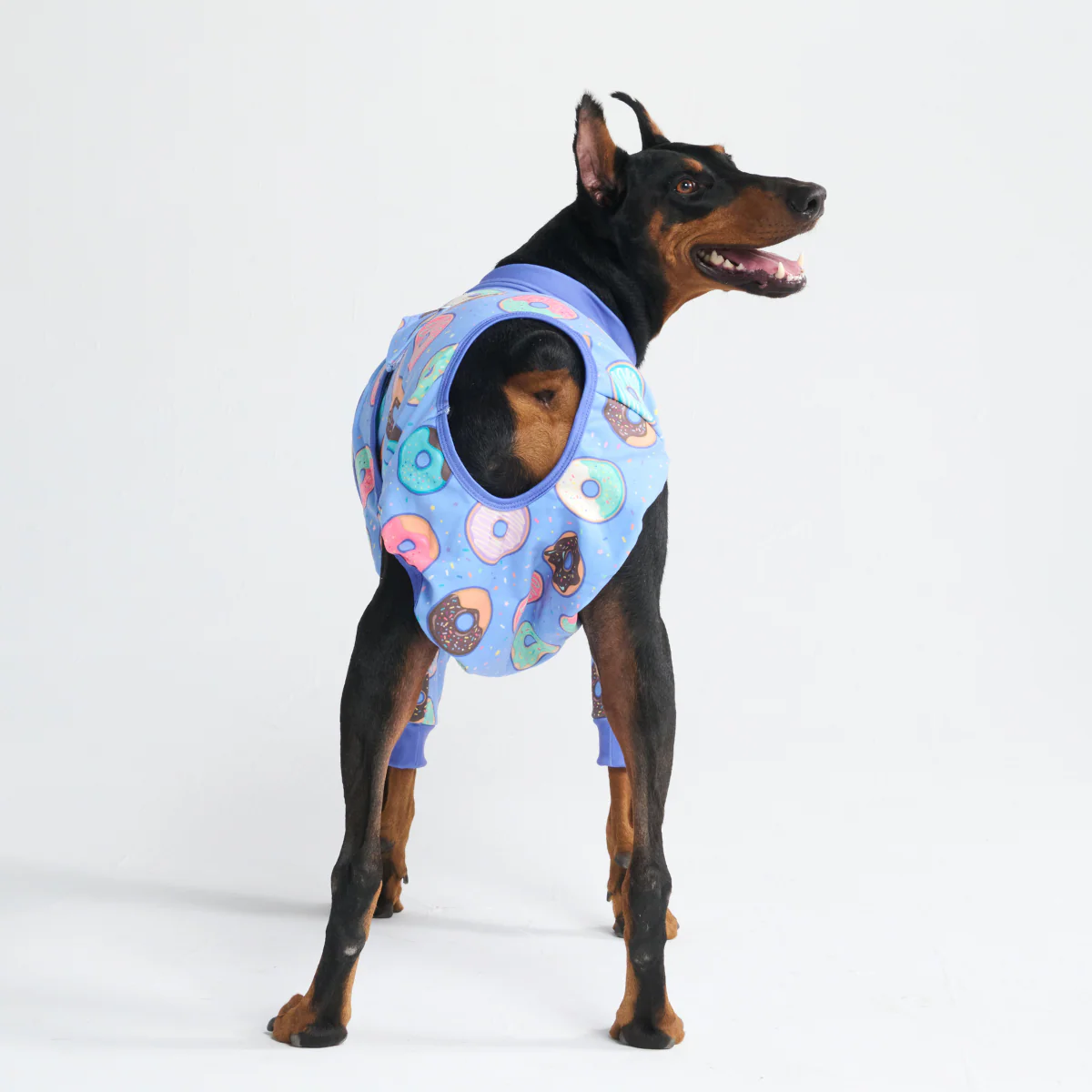 Dog Surgical Suit (2-pack) - Breakfast Blue and Donuts - Image 12