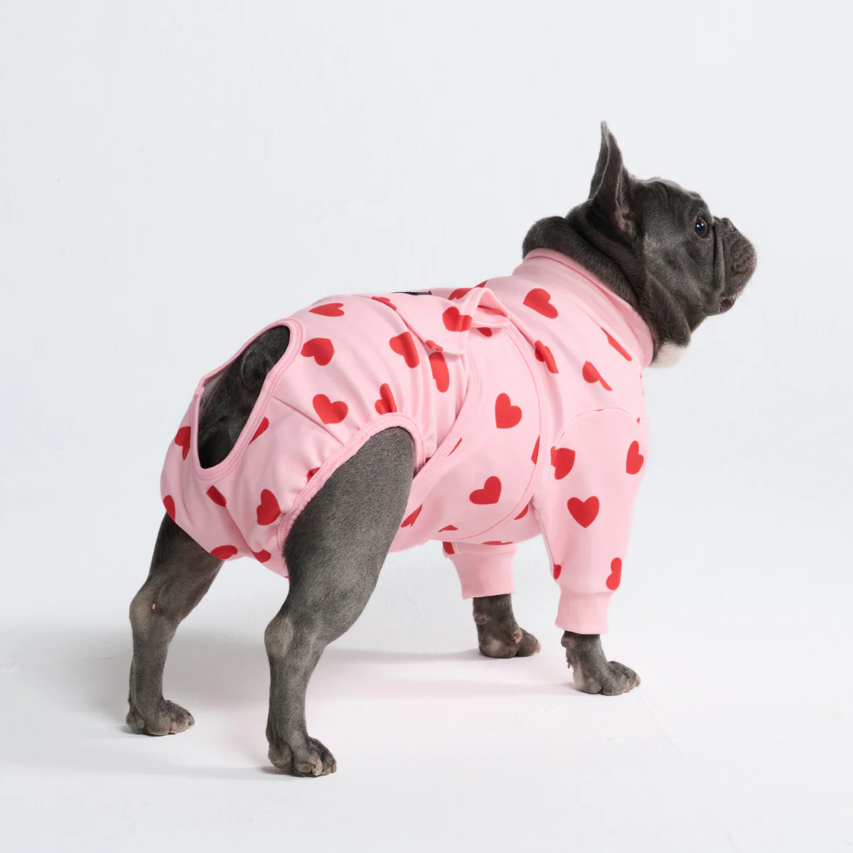 Dog Surgical Suit (2-pack) - Butterfly and Pink Hearts - Image 10