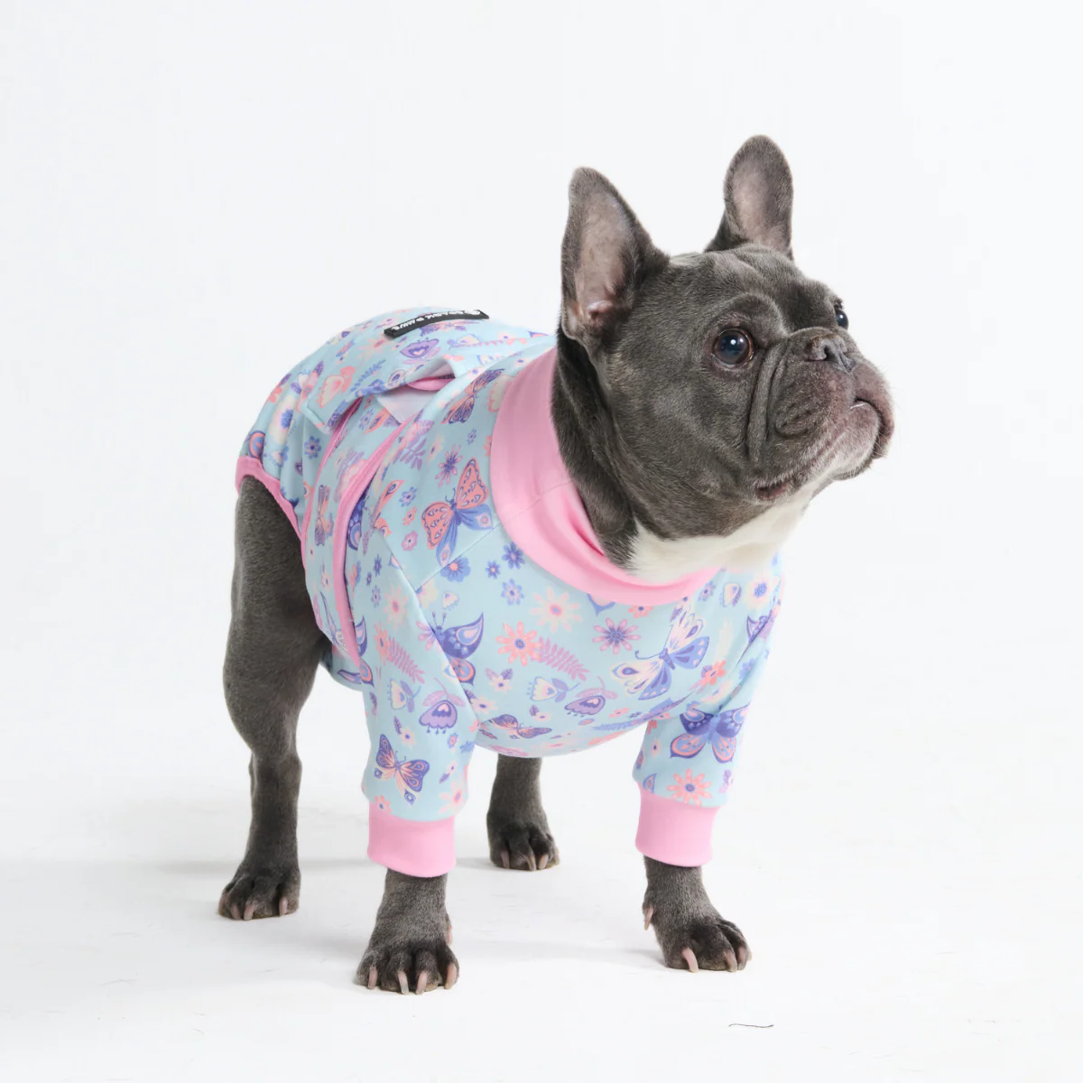 Dog Surgical Suit (2-pack) - Butterfly and Pink Hearts - Image 11