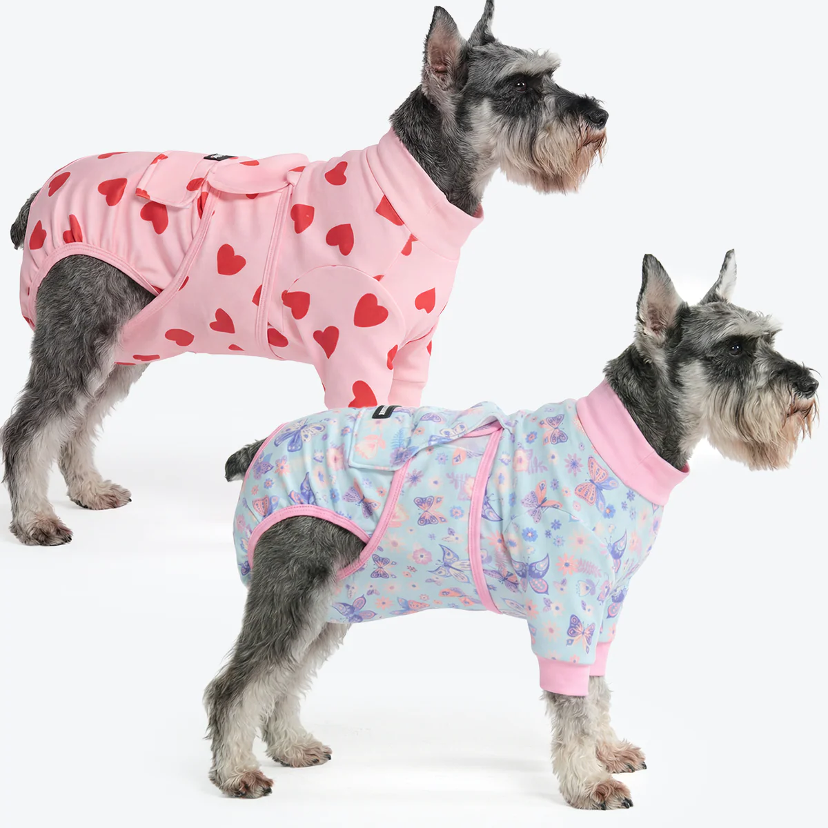 Dog Surgical Suit (2-pack) - Butterfly and Pink Hearts - Image 3