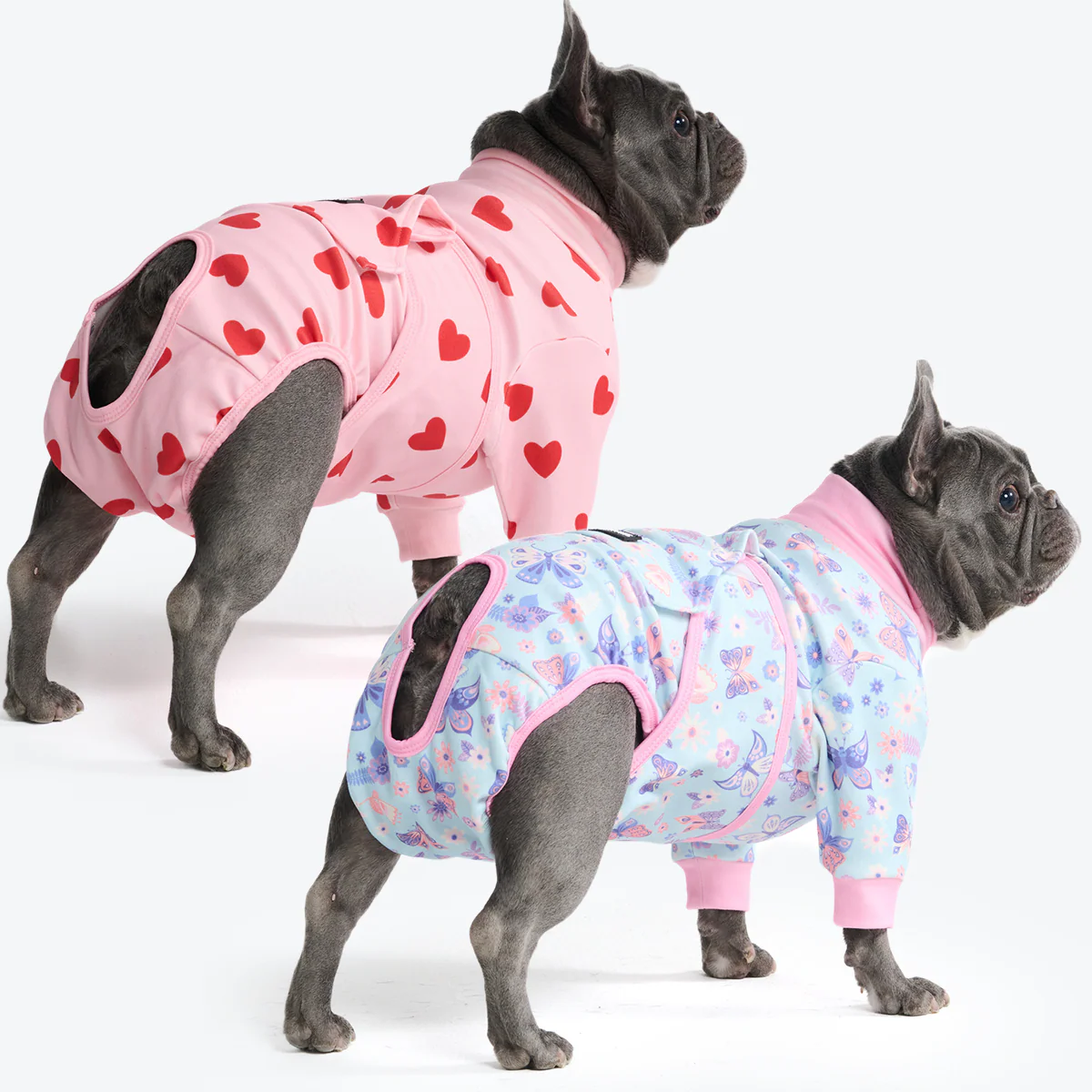 Dog Surgical Suit (2-pack) - Butterfly and Pink Hearts - Image 4