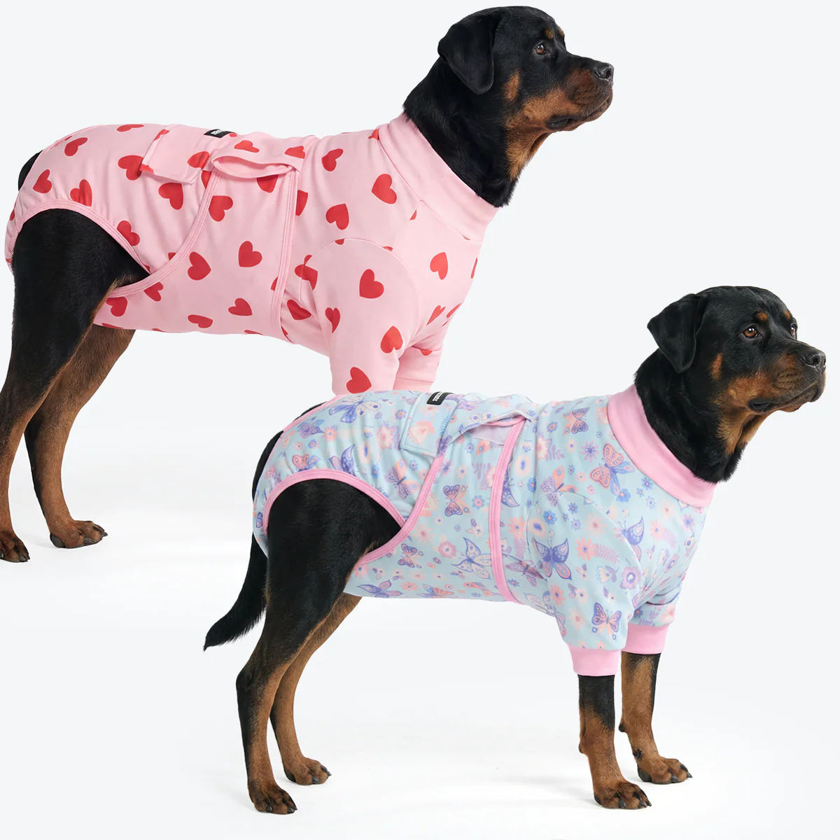 Dog Surgical Suit (2-pack) - Butterfly and Pink Hearts - Image 6