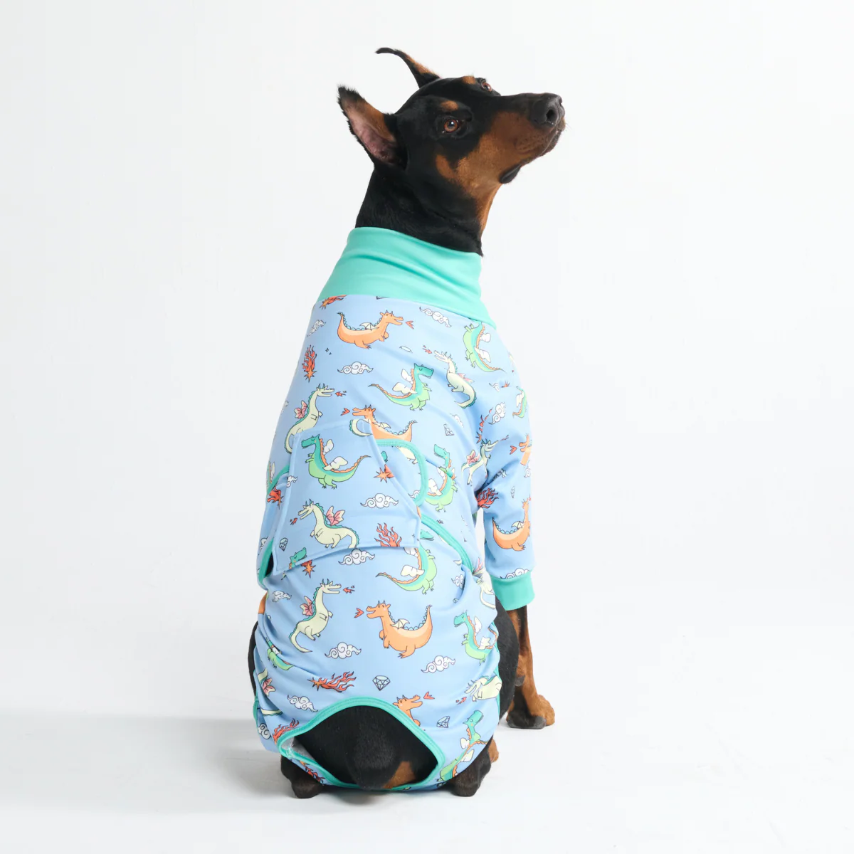 Dog Surgical Suit (2-pack) - Dinosaurs and Dragons - Image 12