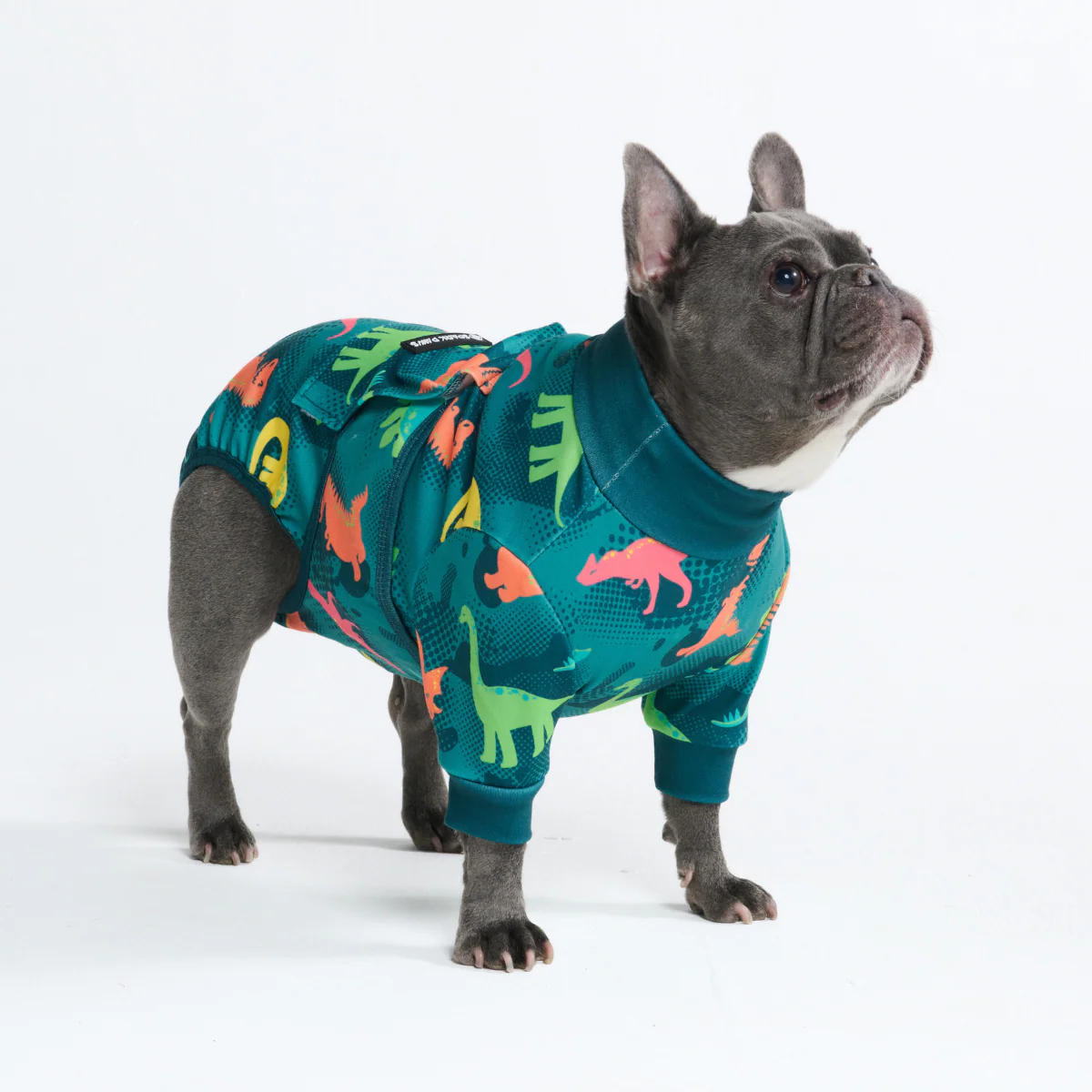 Dog Surgical Suit (2-pack) - Dinosaurs and Hearts - Image 11