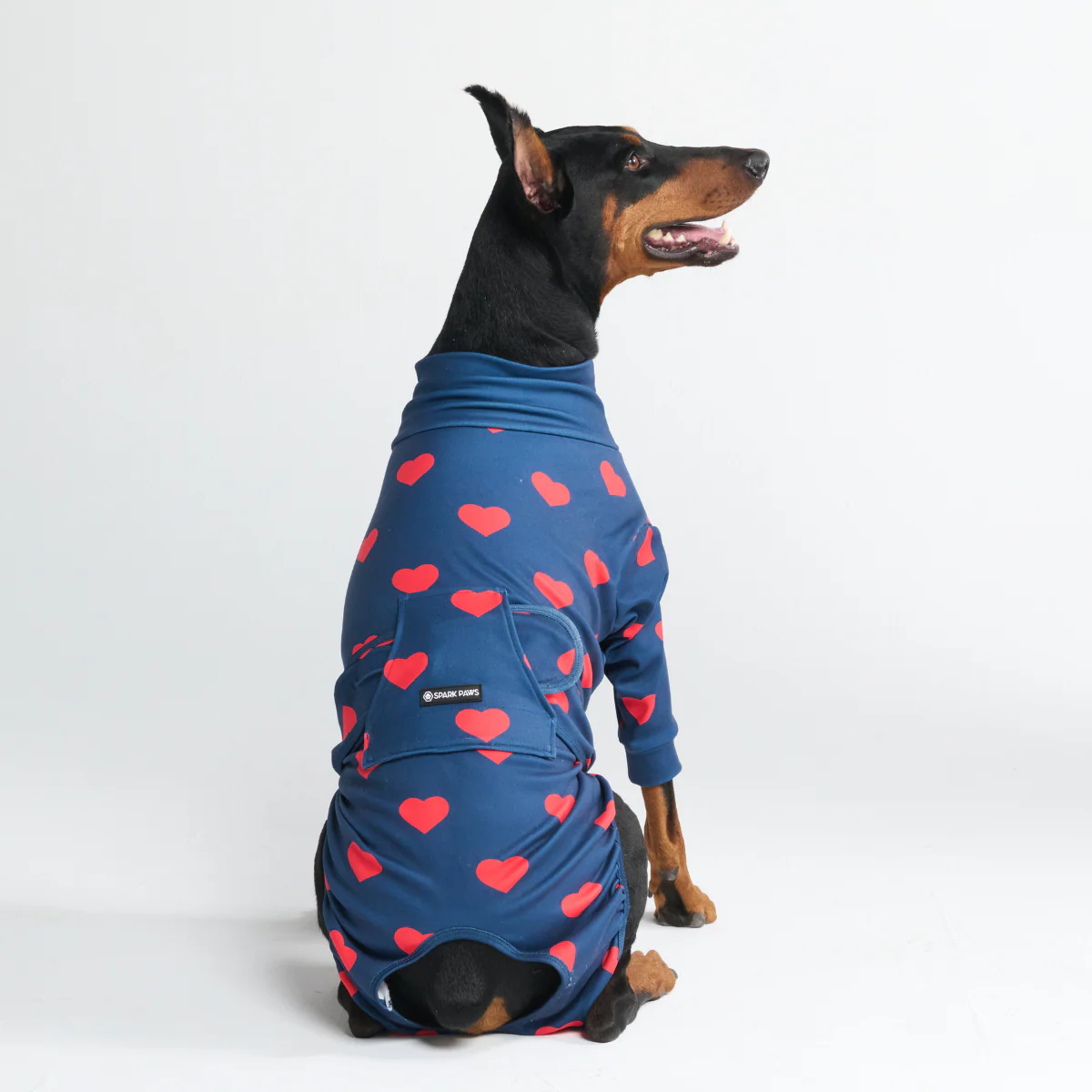 Dog Surgical Suit (2-pack) - Dinosaurs and Hearts - Image 12