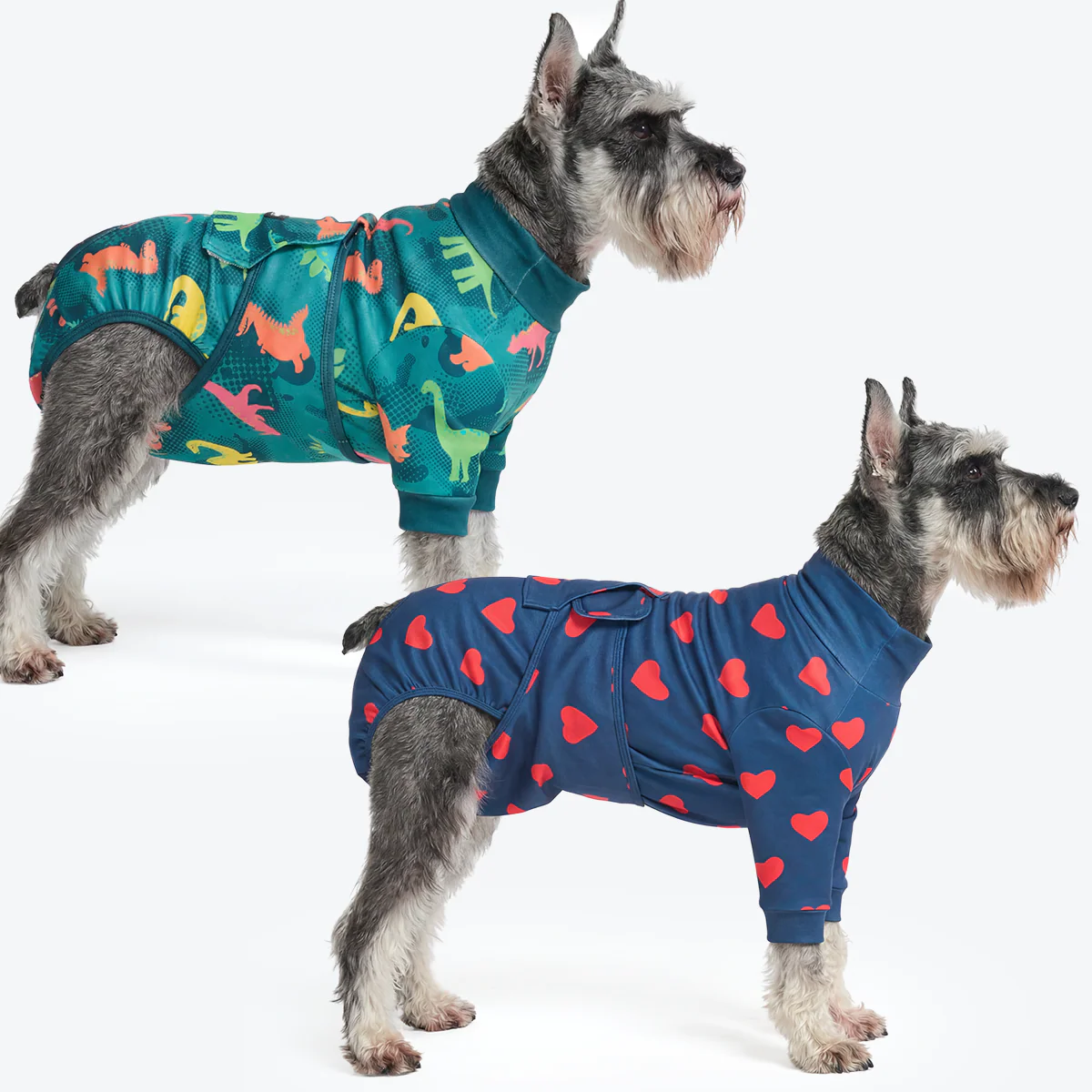 Dog Surgical Suit (2-pack) - Dinosaurs and Hearts - Image 3