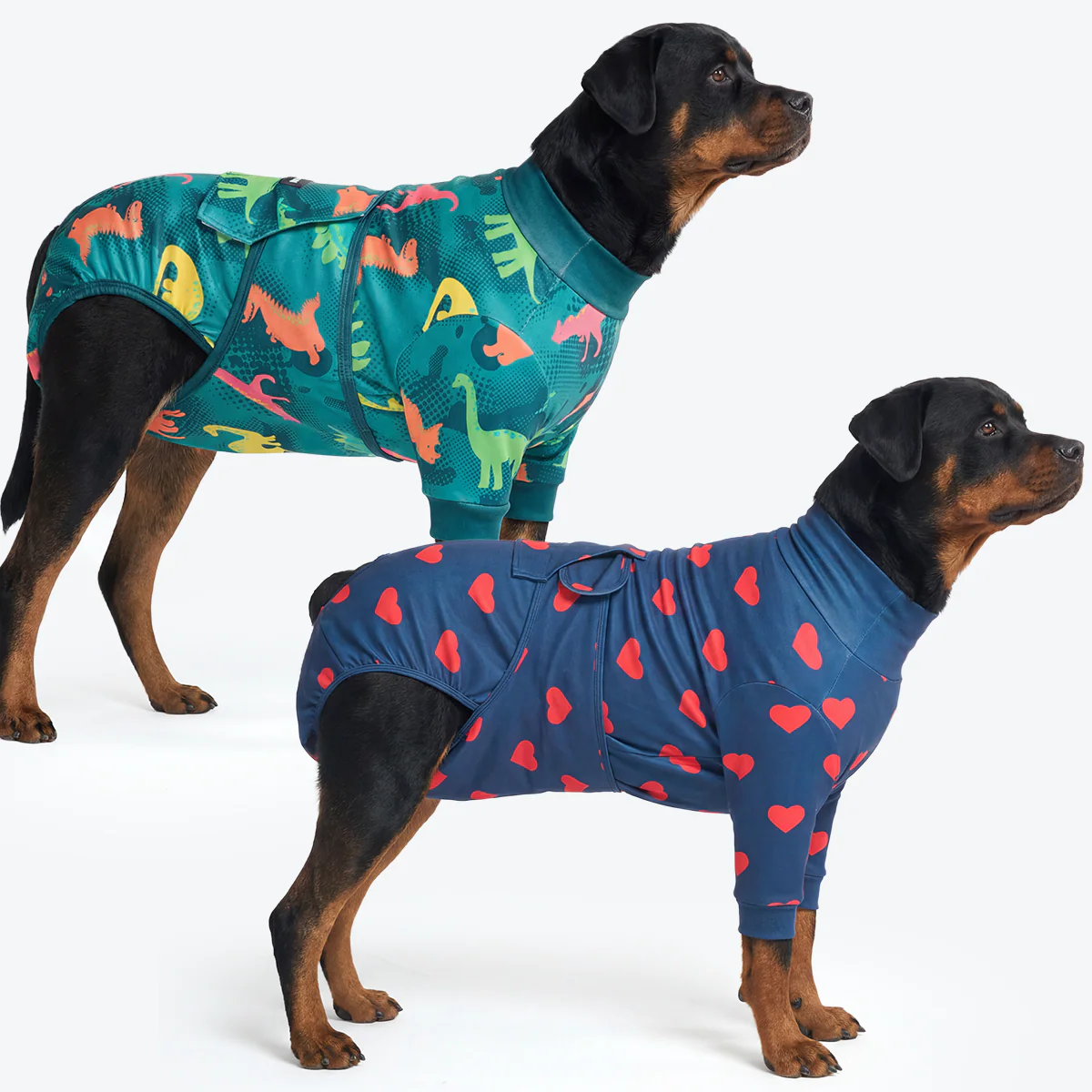 Dog Surgical Suit (2-pack) - Dinosaurs and Hearts - Image 6