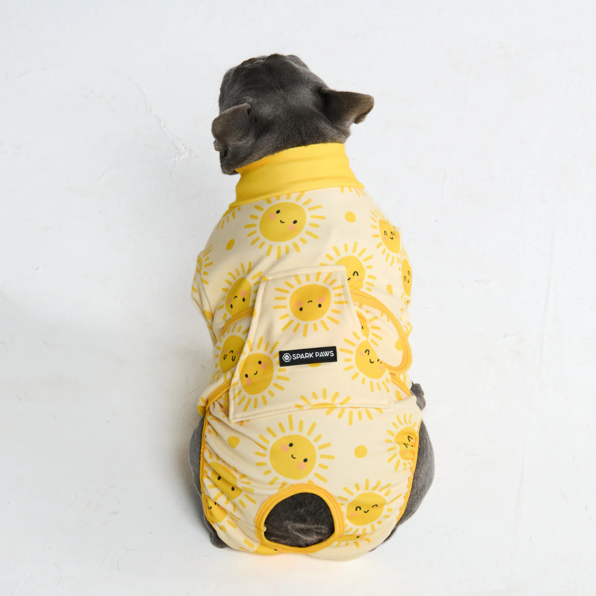 Dog Surgical Suit (2-pack) - Dinosaurs and Sunshine - Image 12