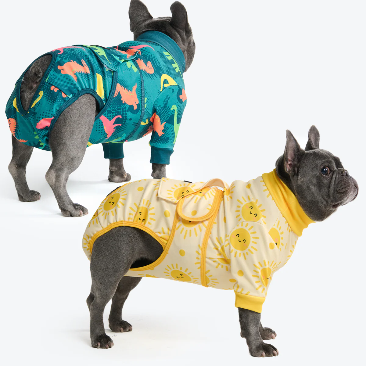 Dog Surgical Suit (2-pack) - Dinosaurs and Sunshine - Image 4