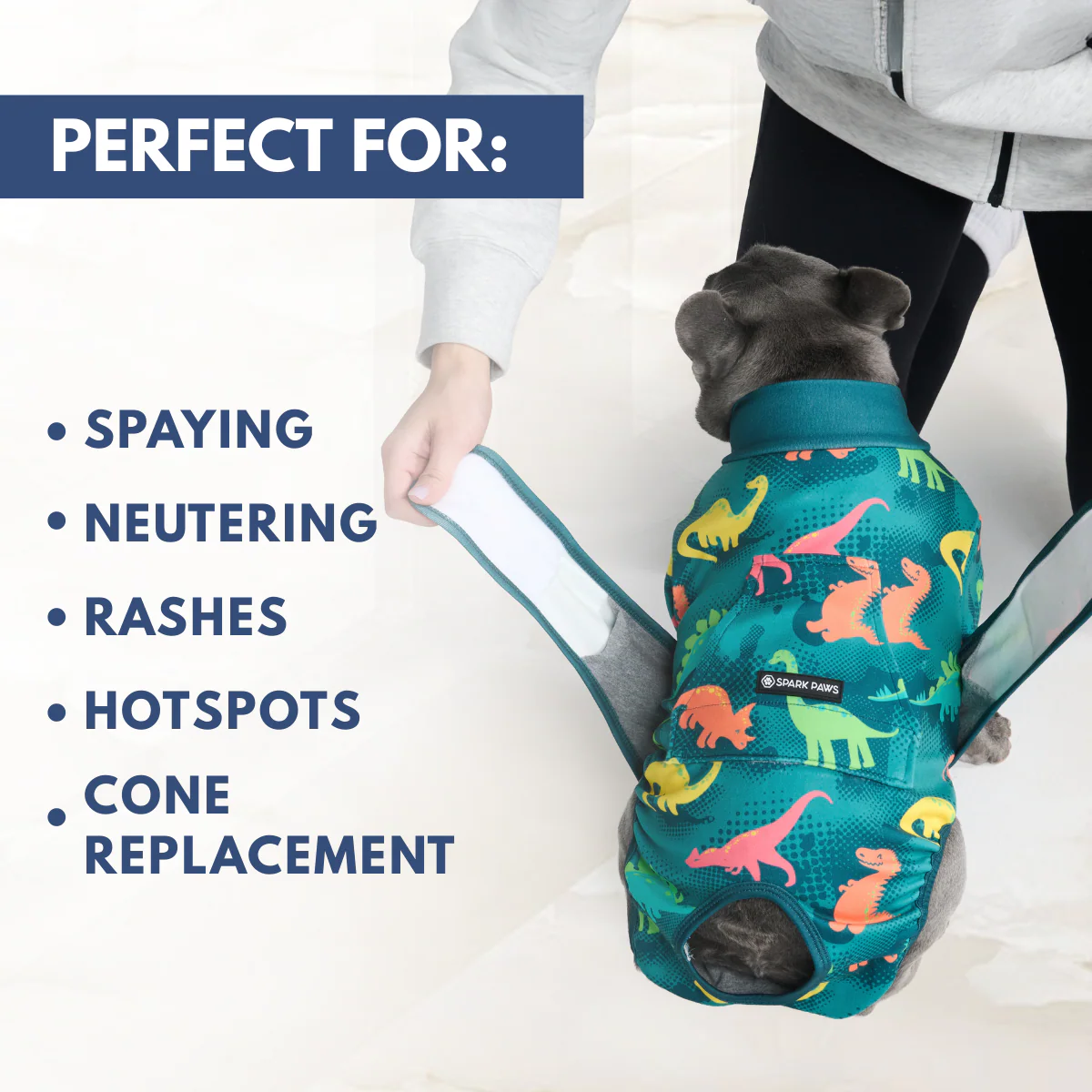 Dog Surgical Suit (2-pack) - Dinosaurs and Sunshine - Image 7