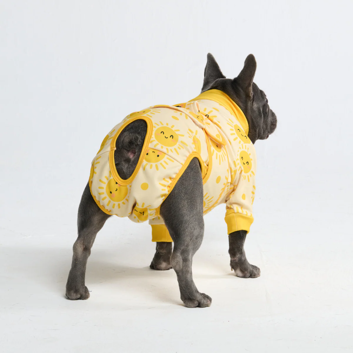 Dog Surgical Suit (2-pack) - Pink Hearts and Sunshine - Image 10