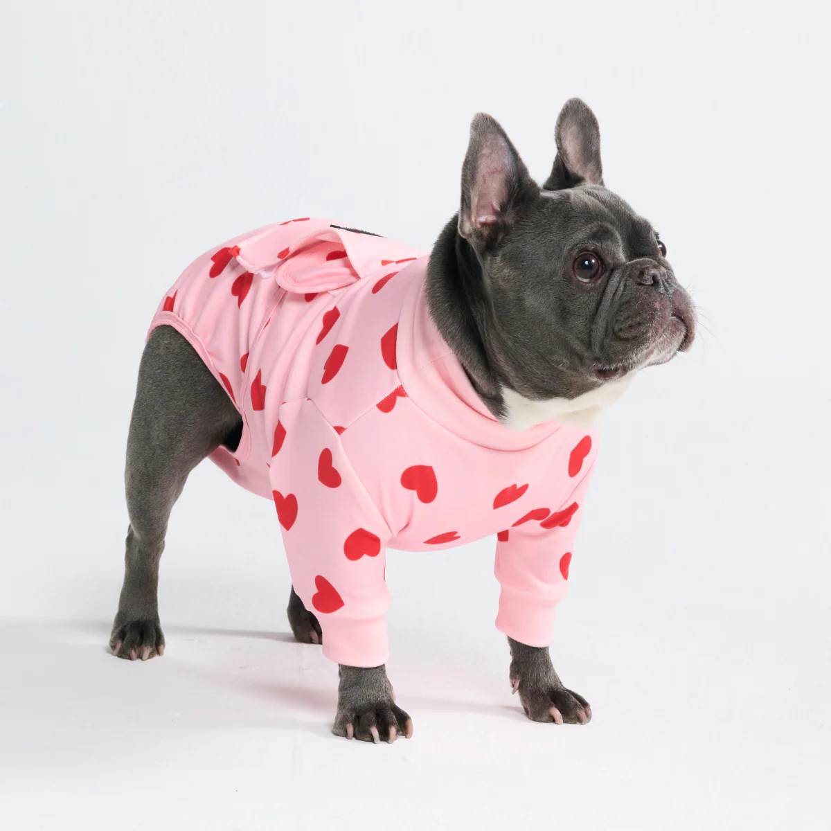 Dog Surgical Suit (2-pack) - Pink Hearts and Sunshine - Image 11