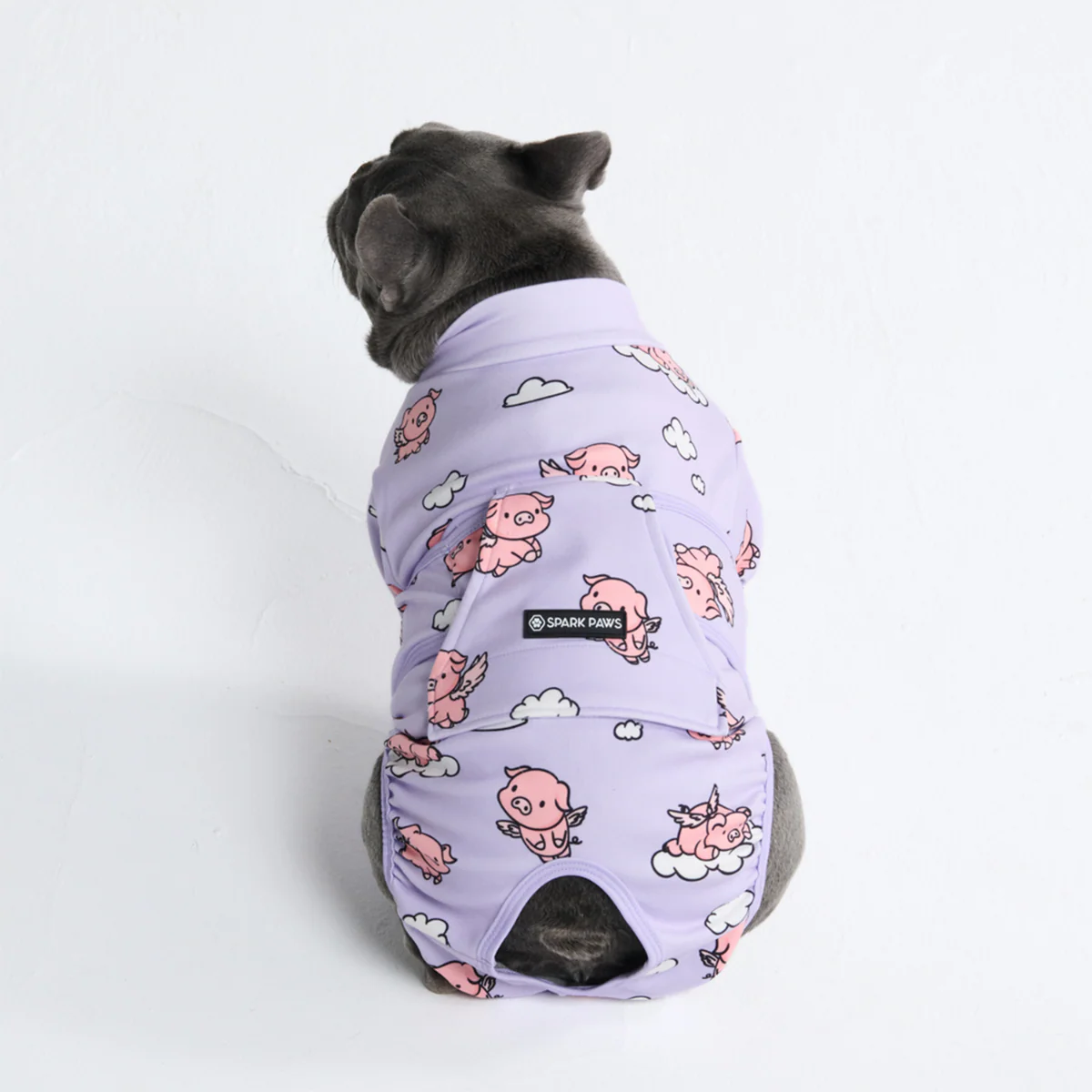 Dog Surgical Suit (2-pack) - Pink Hearts and When Pigs Fly - Image 12