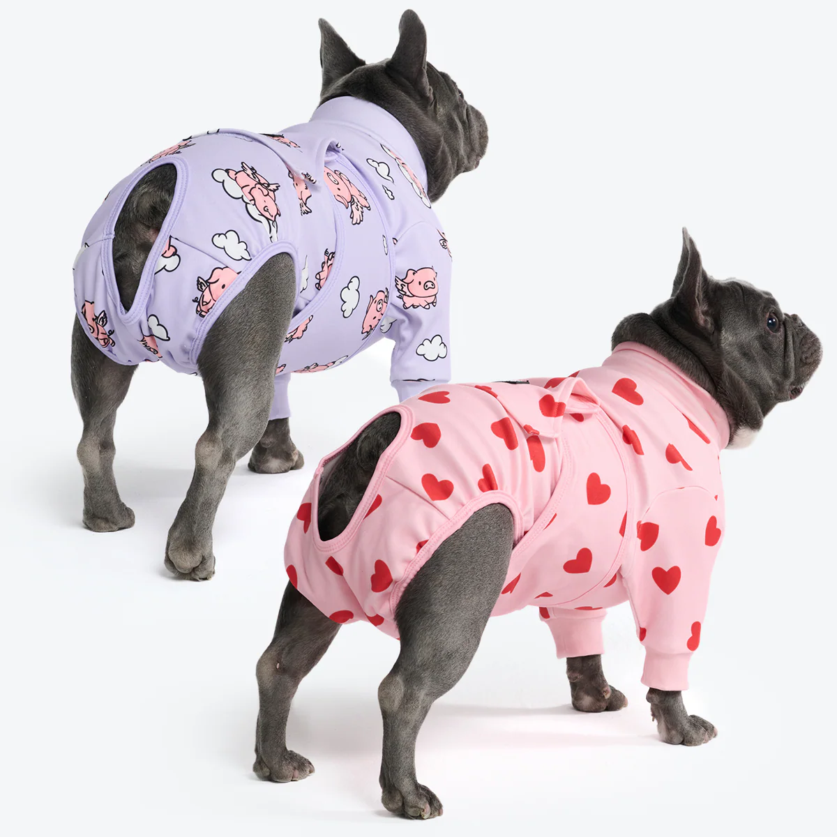 Dog Surgical Suit (2-pack) - Pink Hearts and When Pigs Fly - Image 3