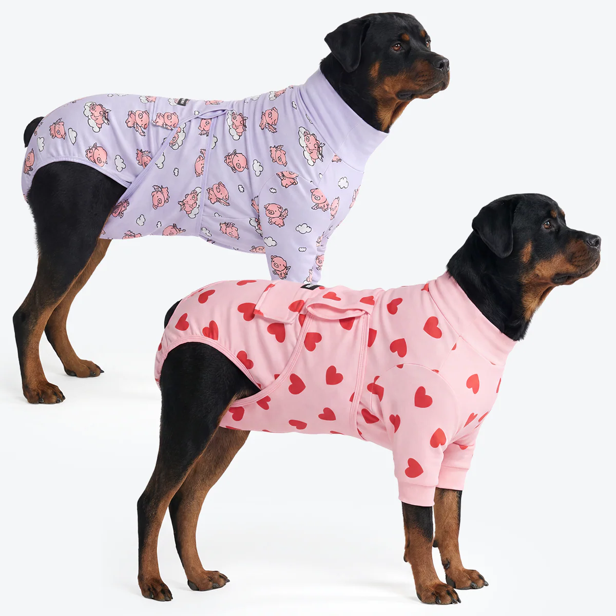 Dog Surgical Suit (2-pack) - Pink Hearts and When Pigs Fly - Image 6