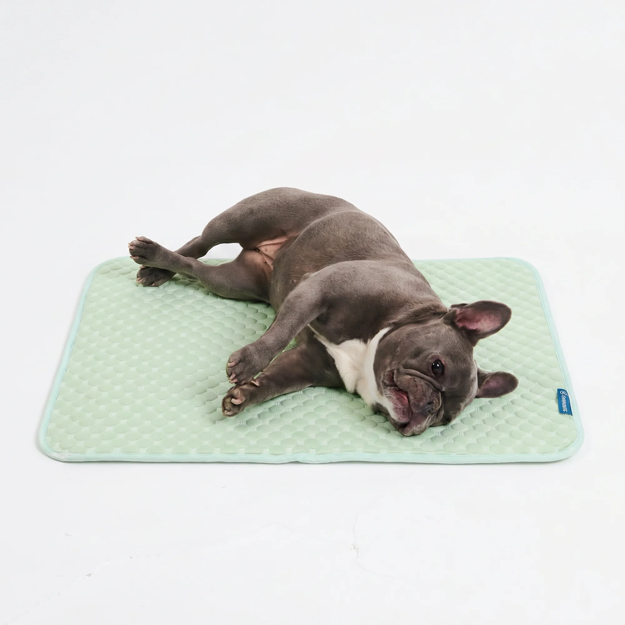 Frostcore™ Cooling Mat - Orb Green - Image 3