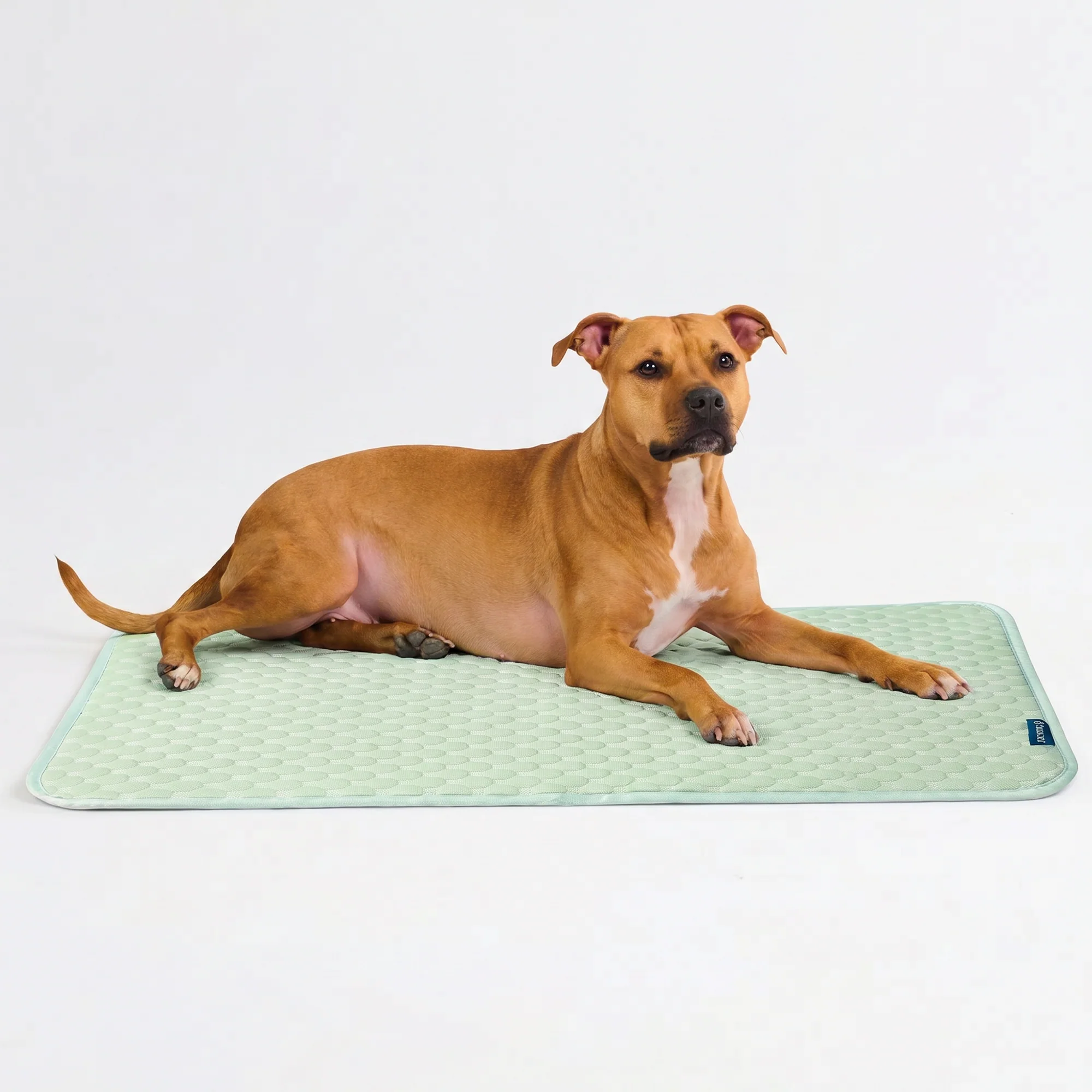 Frostcore™ Cooling Mat - Orb Green - Image 4