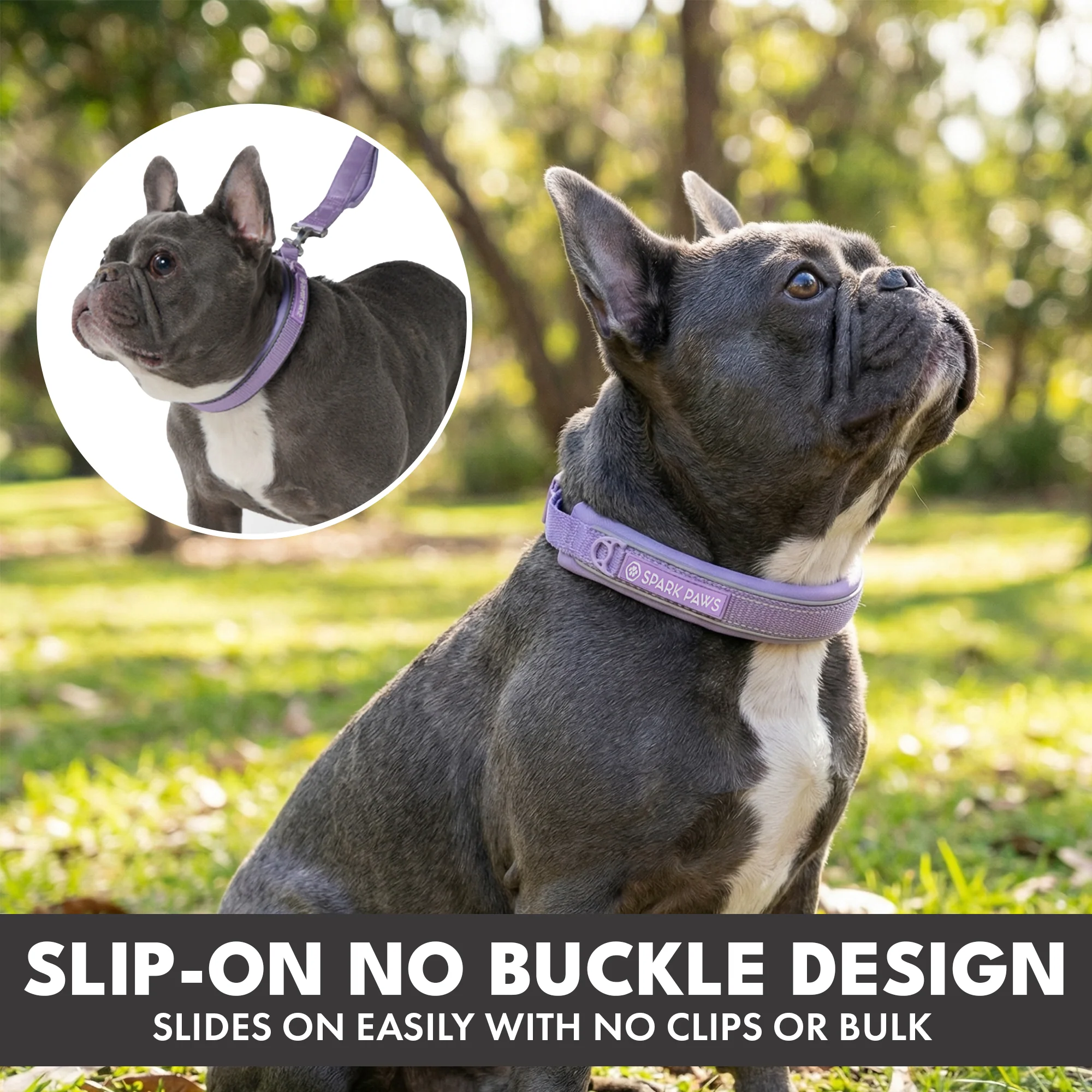 Martingale Collar and Multipurpose Leash Set - Lilac - Image 4