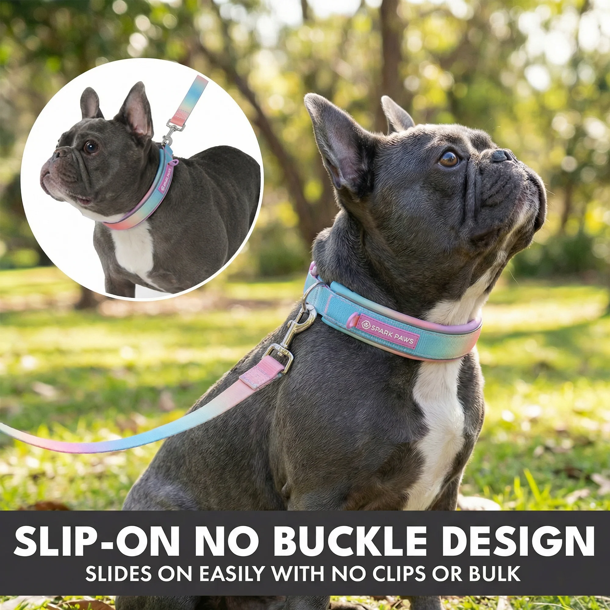 Martingale Collar Set - Pastel Icing - Image 4
