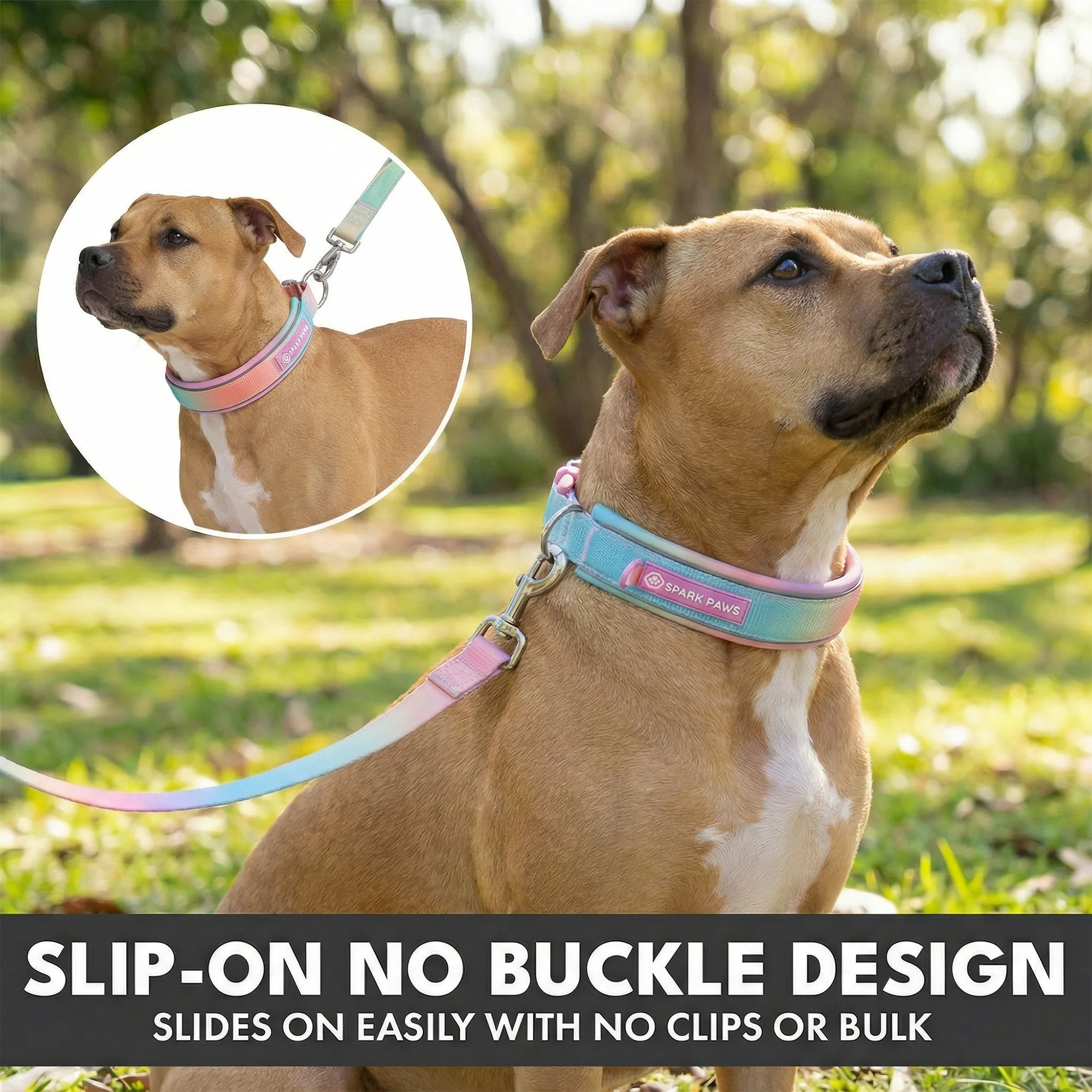 Martingale Collar Set - Pastel Icing - Image 5